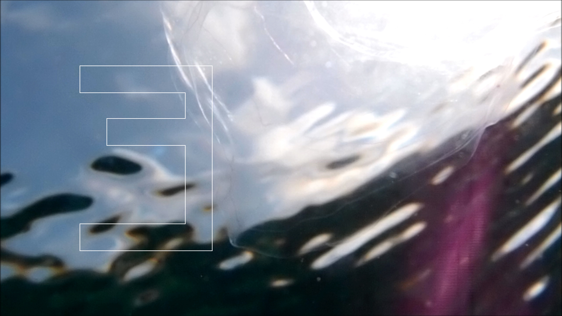 2022-04-14 Am Strand und im Wasser (Quallenvideo, Stills & Numbers) (Typo Grafik, Video)