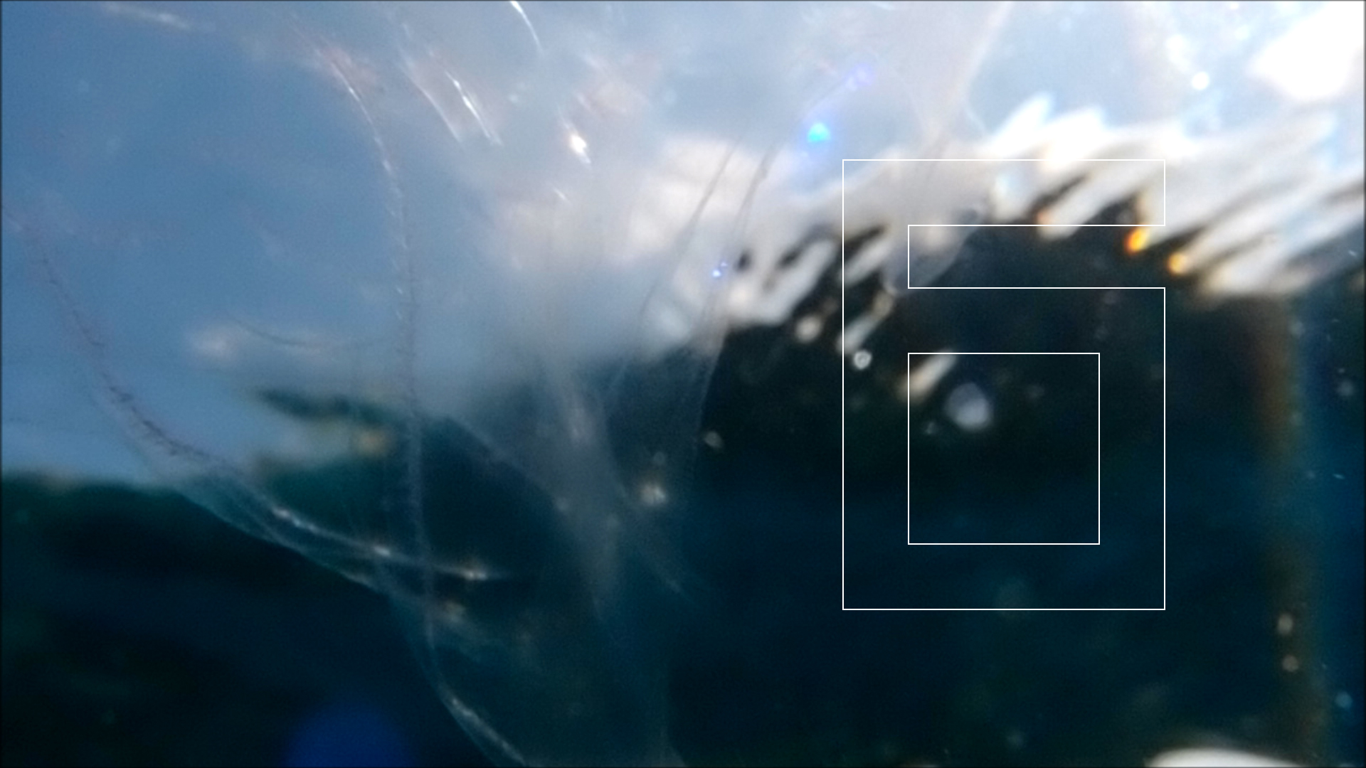 2022-04-14 Am Strand und im Wasser (Quallenvideo, Stills & Numbers) (Typo Grafik, Video)