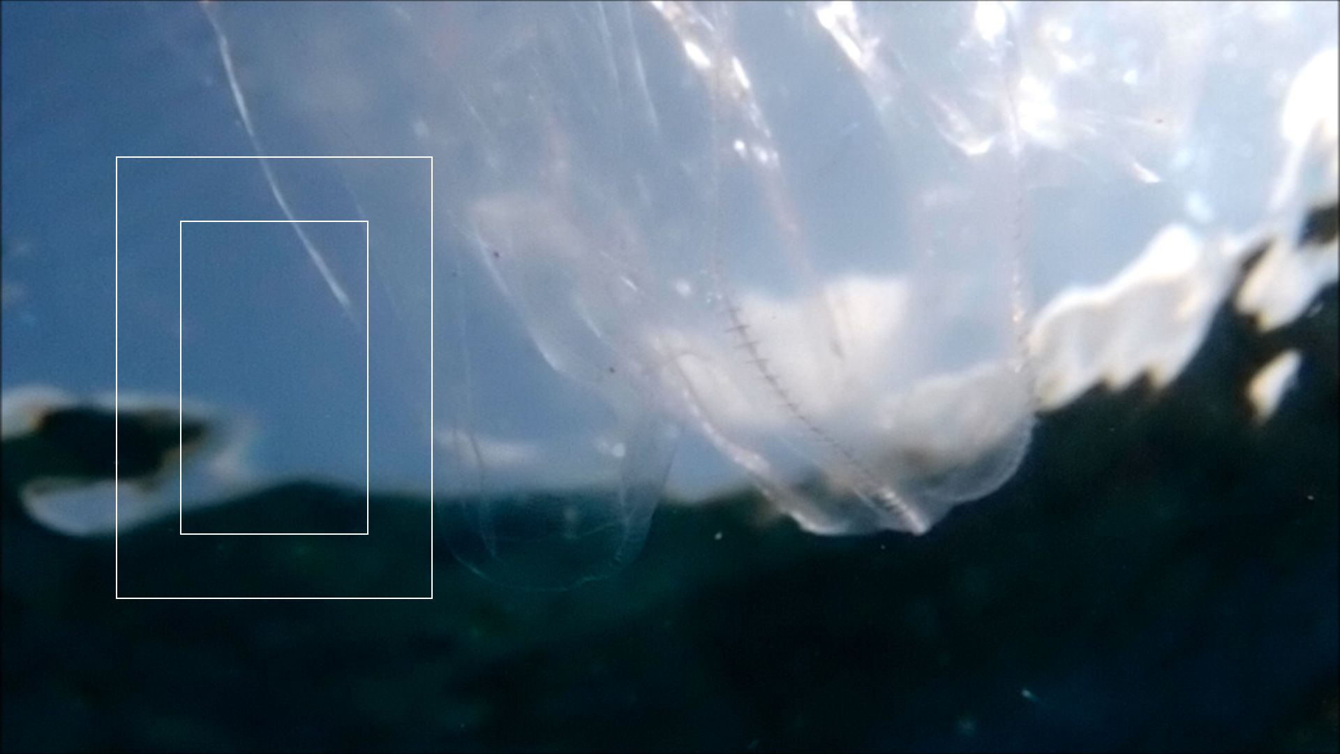 2022-04-14 Am Strand und im Wasser (Quallenvideo, Stills & Numbers) (Typo Grafik, Video)