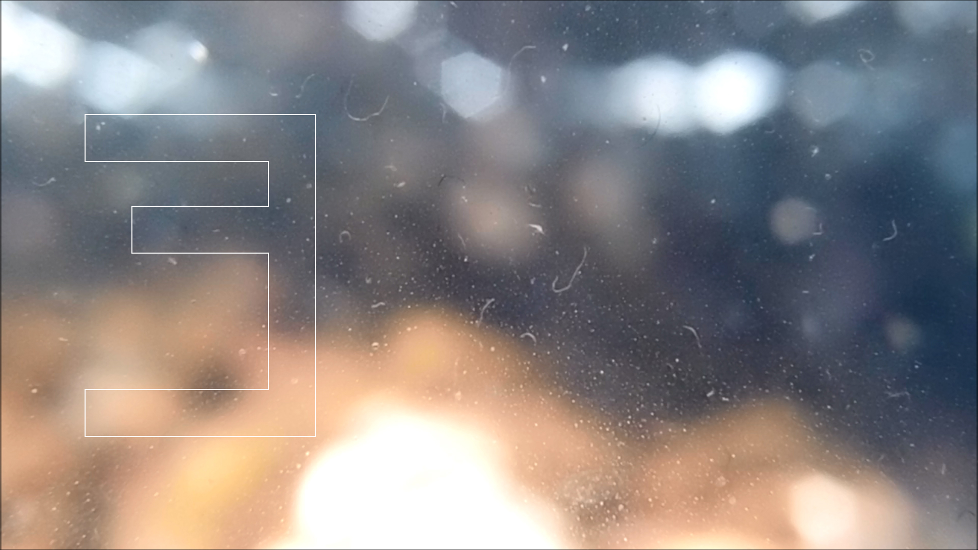 2022-04-14 Am Strand und im Wasser (Quallenvideo, Stills & Numbers) (Typo Grafik, Video)