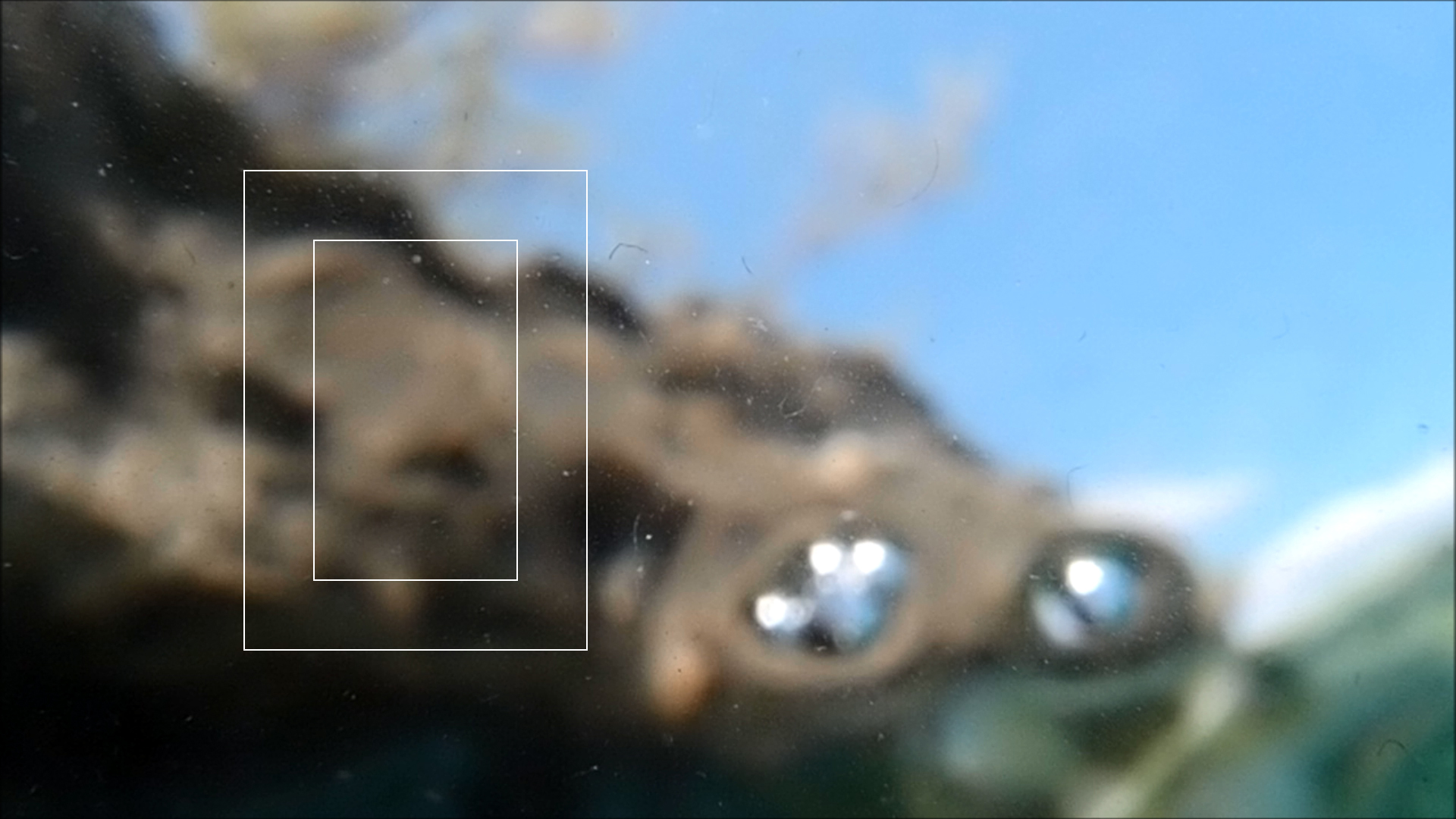 2022-04-14 Am Strand und im Wasser (Quallenvideo, Stills & Numbers) (Typo Grafik, Video)