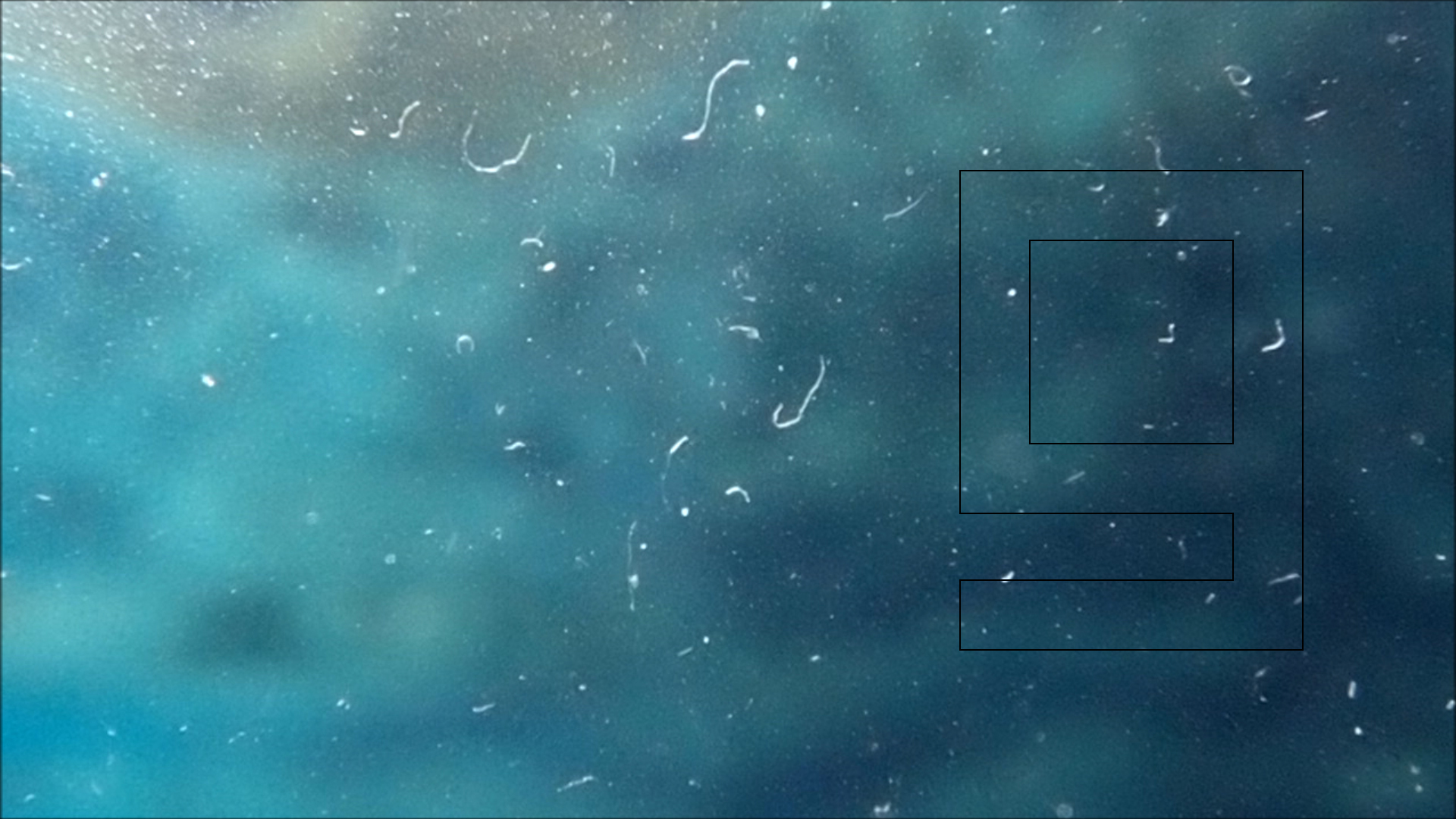 2022-04-14 Am Strand und im Wasser (Quallenvideo, Stills & Numbers) (Typo Grafik, Video)