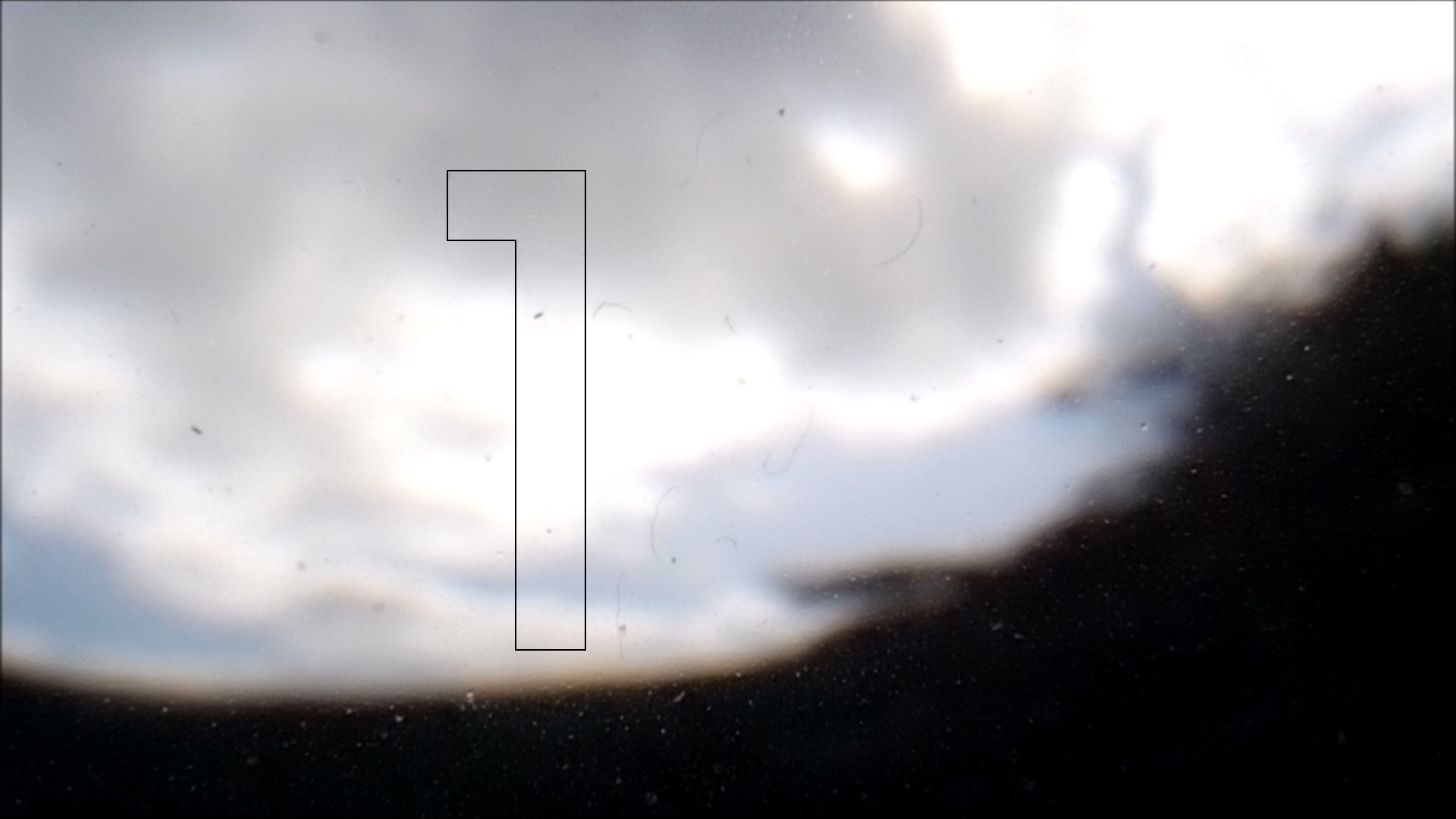 2022-04-14 Am Strand und im Wasser (Quallenvideo, Stills & Numbers) (Typo Grafik, Video)