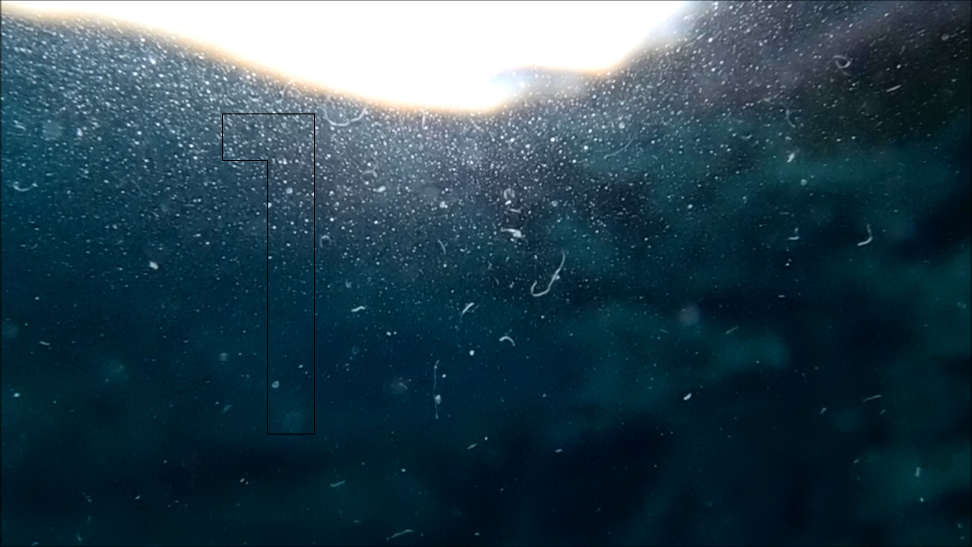 2022-04-14 Am Strand und im Wasser (Quallenvideo, Stills & Numbers) (Typo Grafik, Video)