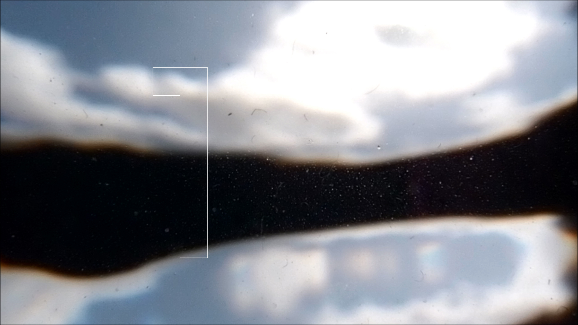 2022-04-14 Am Strand und im Wasser (Quallenvideo, Stills & Numbers) (Typo Grafik, Video)