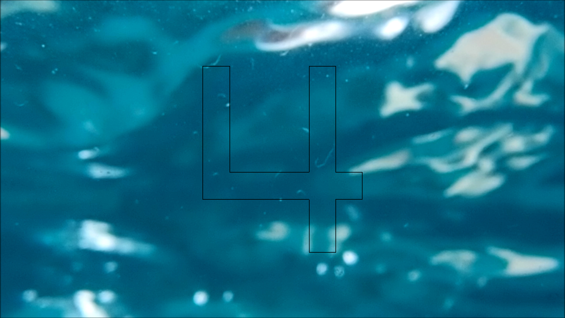 2022-04-14 Am Strand und im Wasser (Quallenvideo, Stills & Numbers) (Typo Grafik, Video)