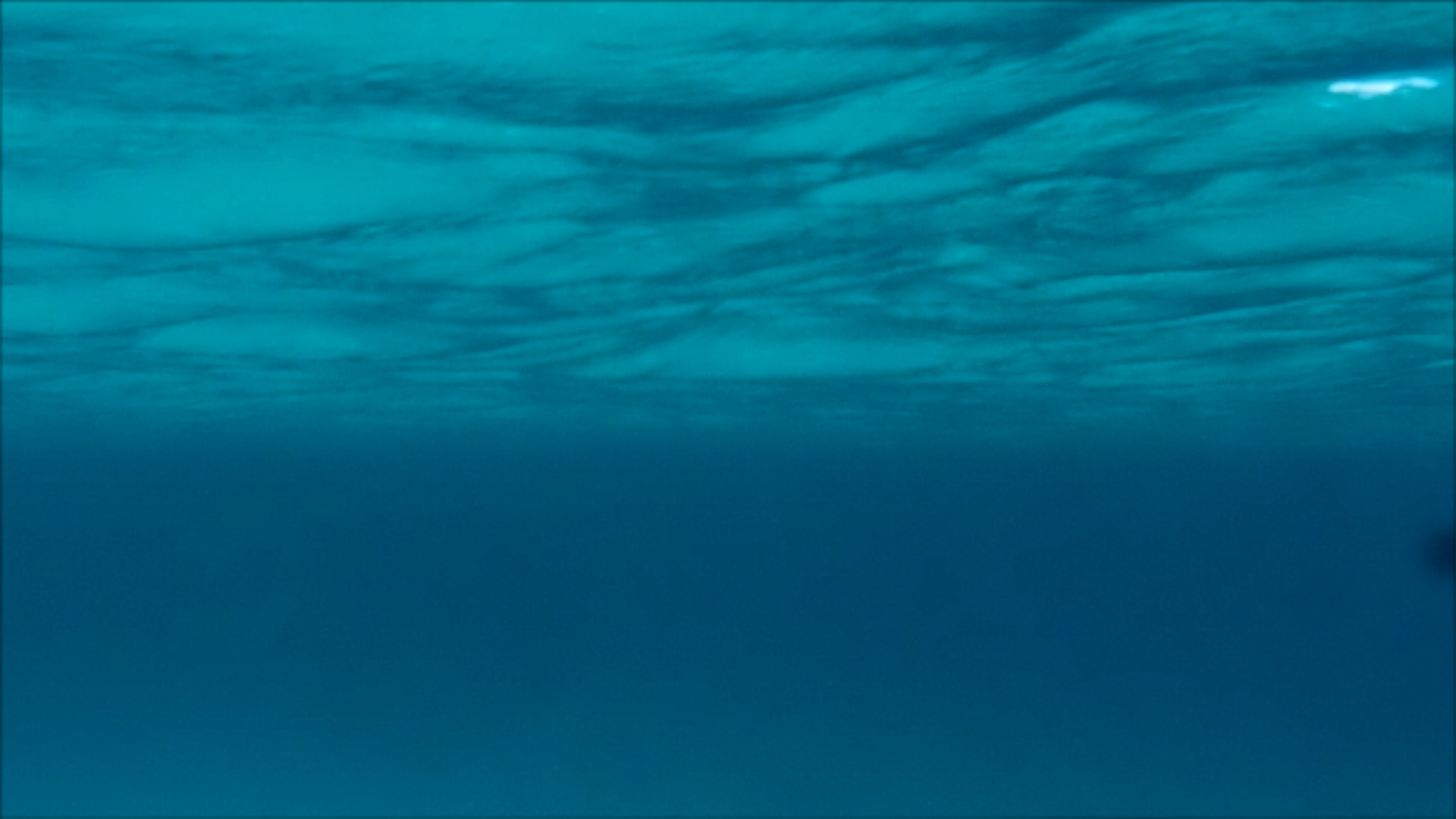 2022-04-14 Am Strand und im Wasser (Quallenvideo, Stills & Numbers) (Typo Grafik, Video)