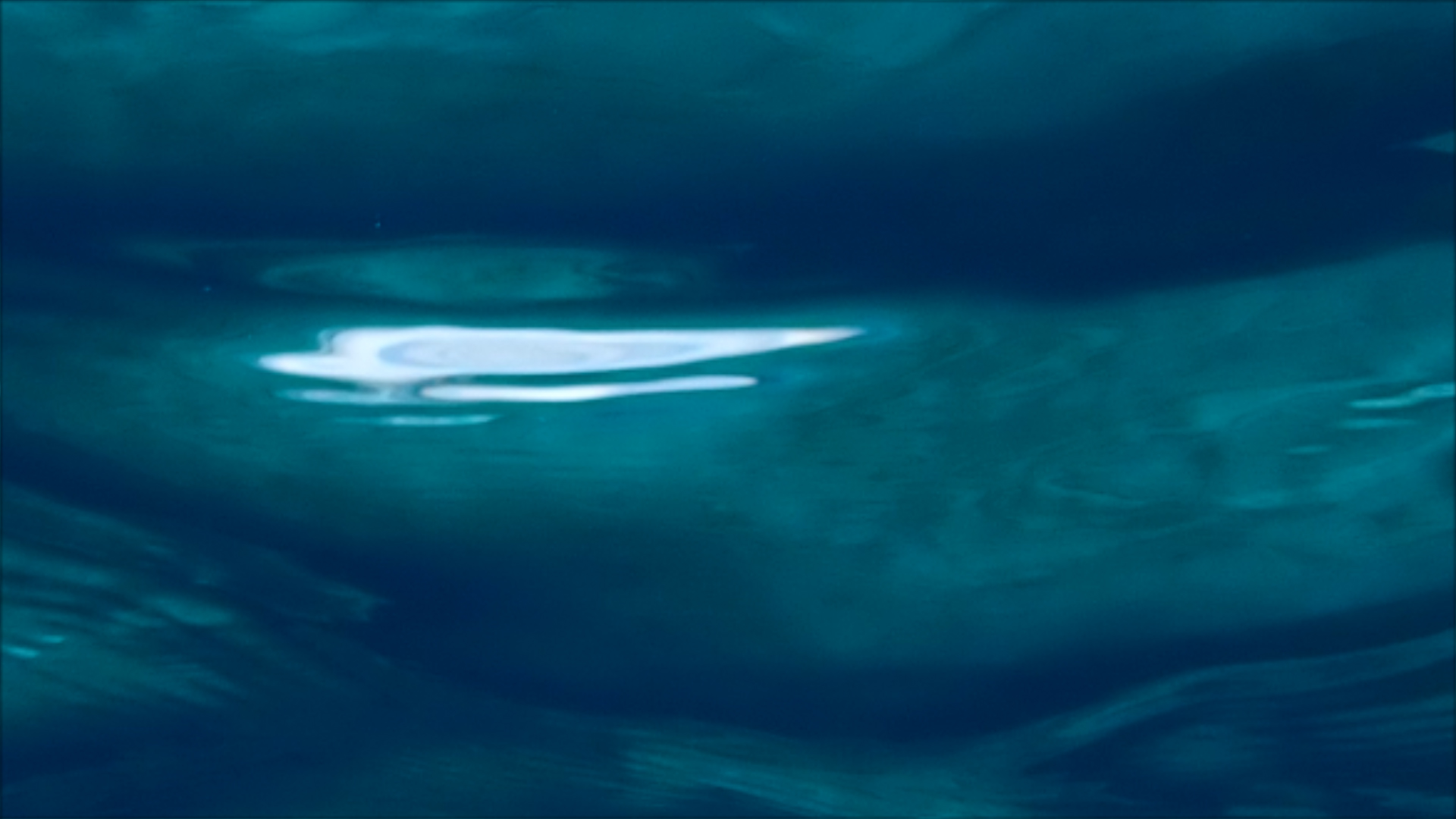 2022-04-14 Am Strand und im Wasser (Quallenvideo, Stills & Numbers) (Typo Grafik, Video)