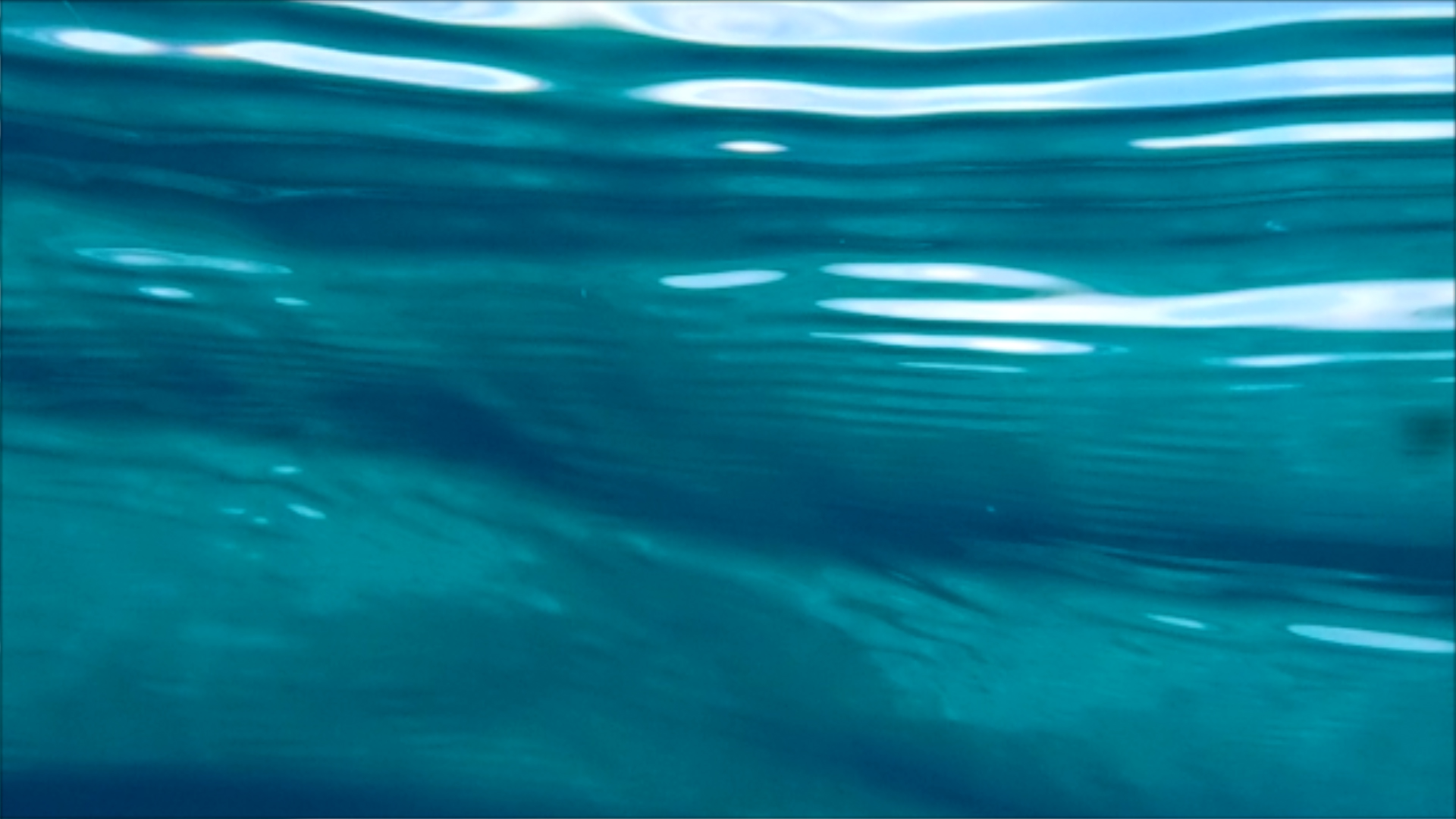 2022-04-14 Am Strand und im Wasser (Quallenvideo, Stills & Numbers) (Typo Grafik, Video)