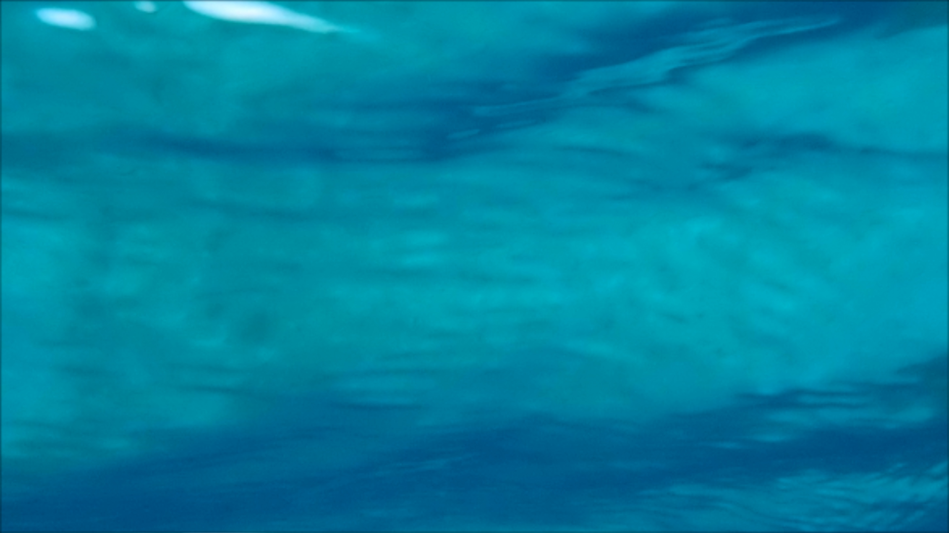 2022-04-14 Am Strand und im Wasser (Quallenvideo, Stills & Numbers) (Typo Grafik, Video)