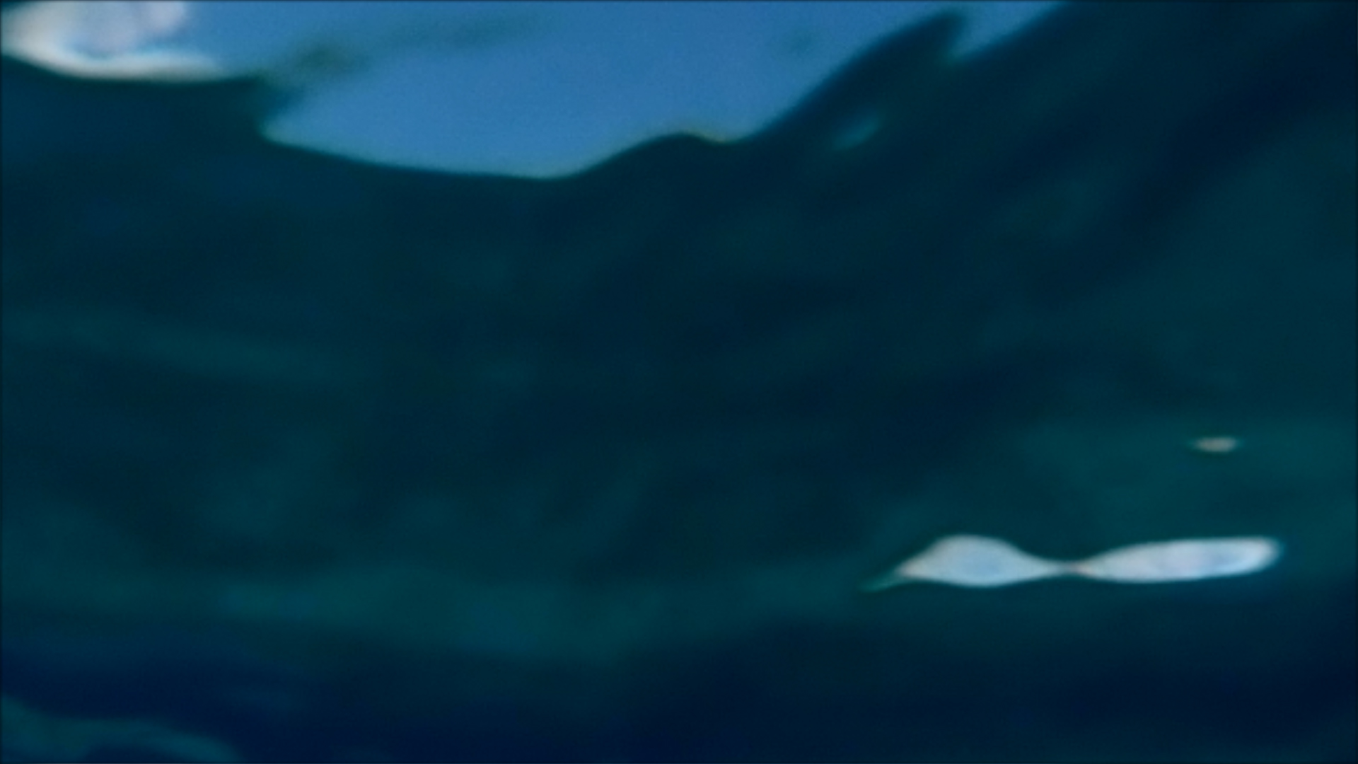 2022-04-14 Am Strand und im Wasser (Quallenvideo, Stills & Numbers) (Typo Grafik, Video)