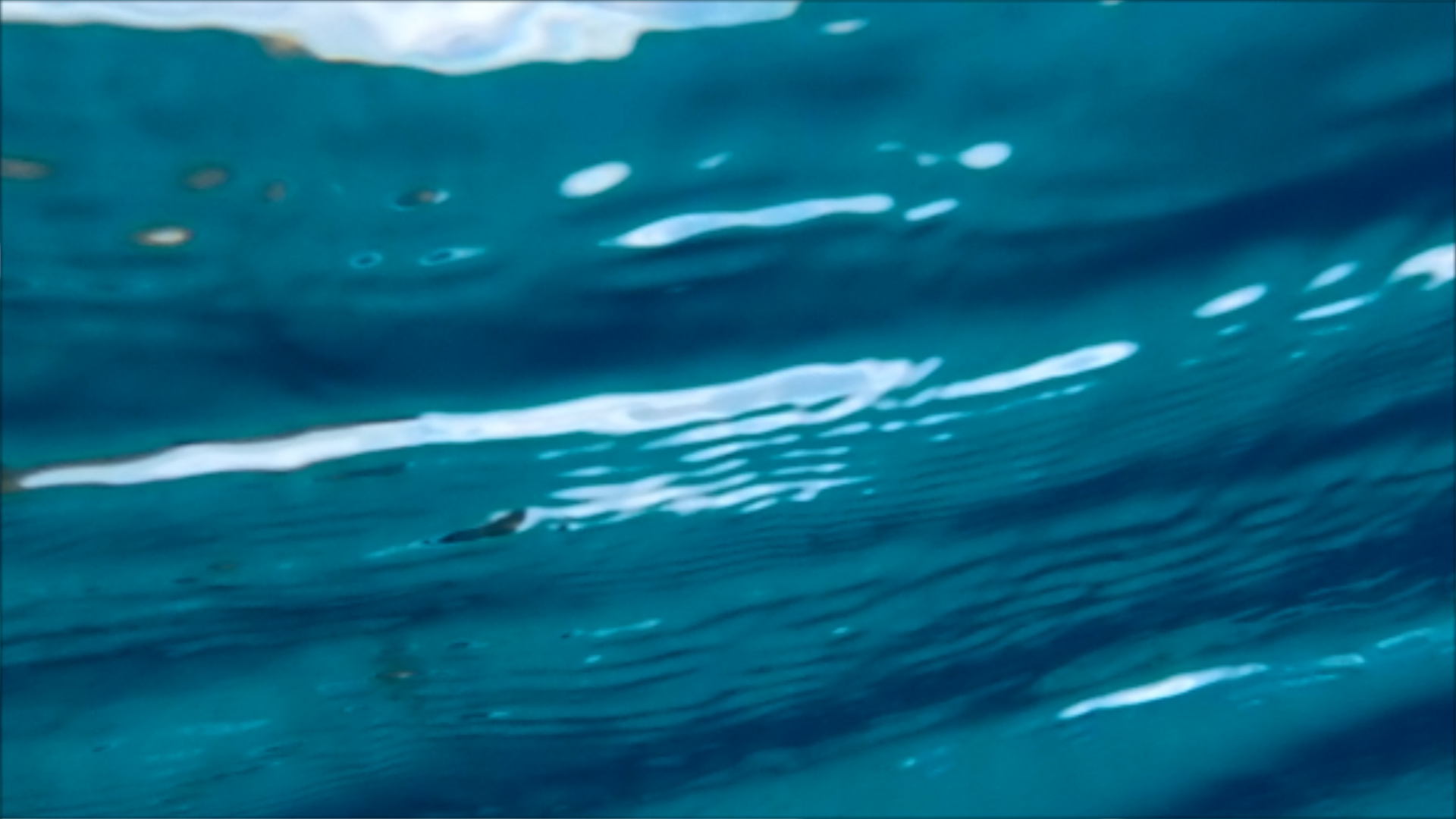 2022-04-14 Am Strand und im Wasser (Quallenvideo, Stills & Numbers) (Typo Grafik, Video)