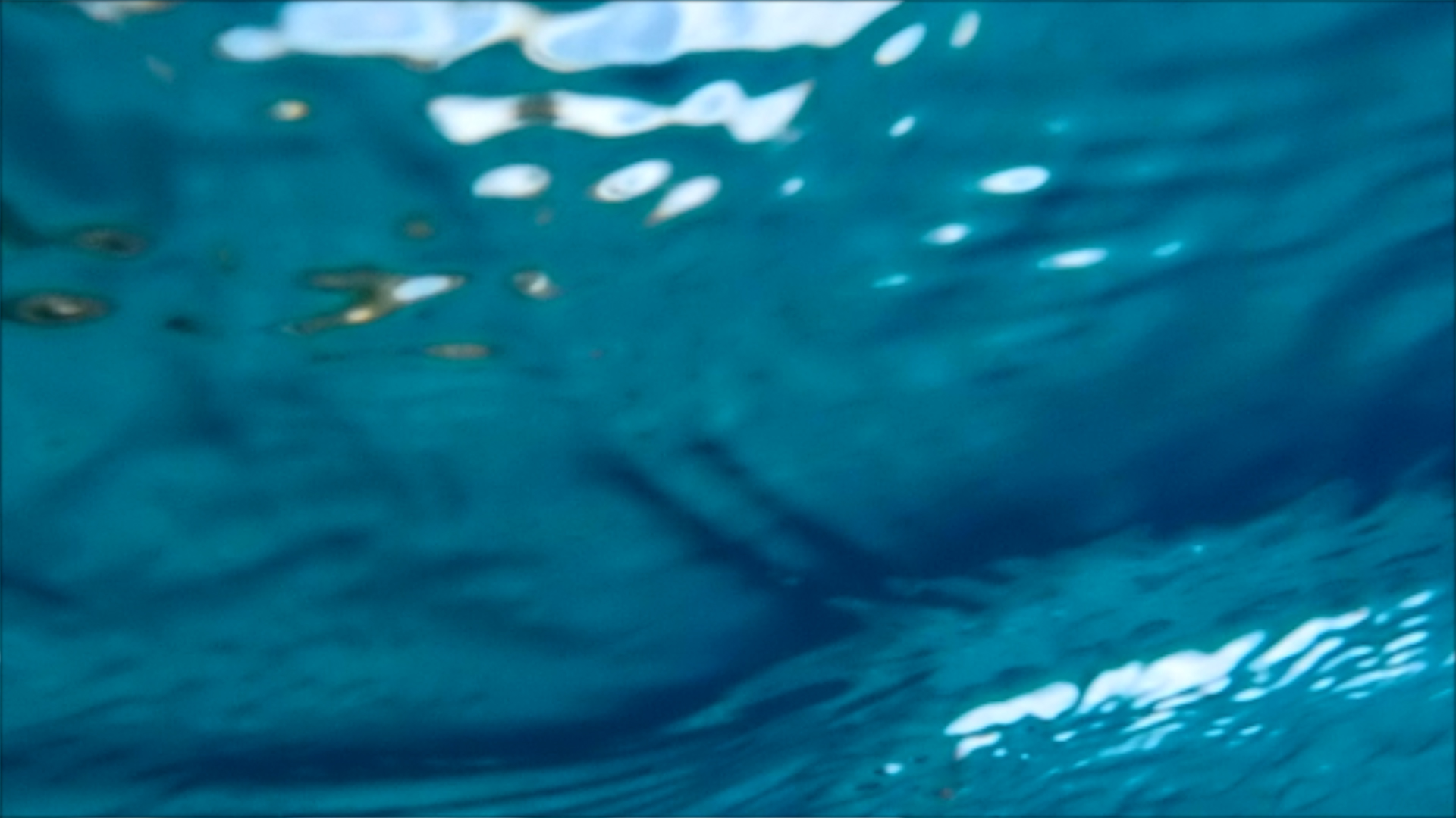 2022-04-14 Am Strand und im Wasser (Quallenvideo, Stills & Numbers) (Typo Grafik, Video)