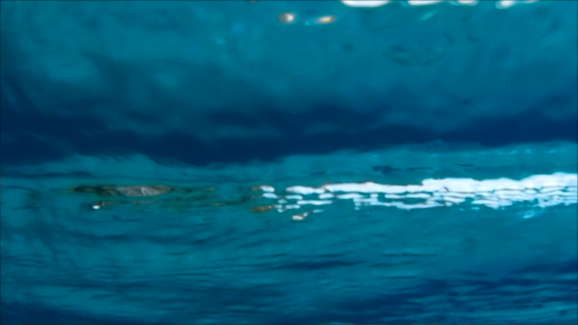 2022-04-14 Am Strand und im Wasser (Quallenvideo, Stills & Numbers) (Typo Grafik, Video)