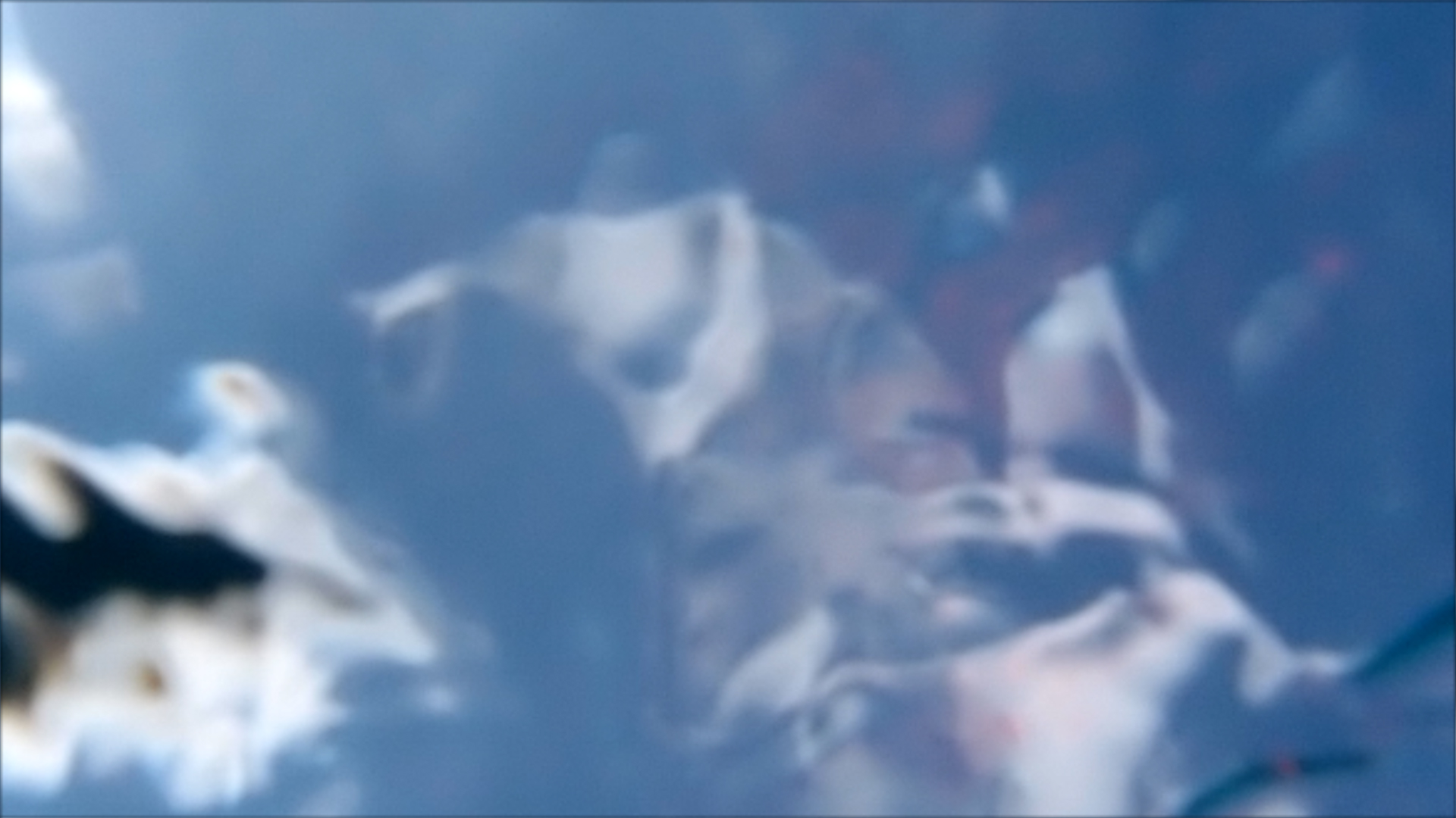 2022-04-14 Am Strand und im Wasser (Quallenvideo, Stills & Numbers) (Typo Grafik, Video)