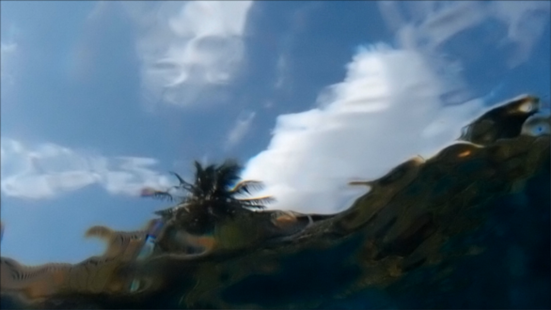 2022-04-14 Am Strand und im Wasser (Quallenvideo, Stills & Numbers) (Typo Grafik, Video)