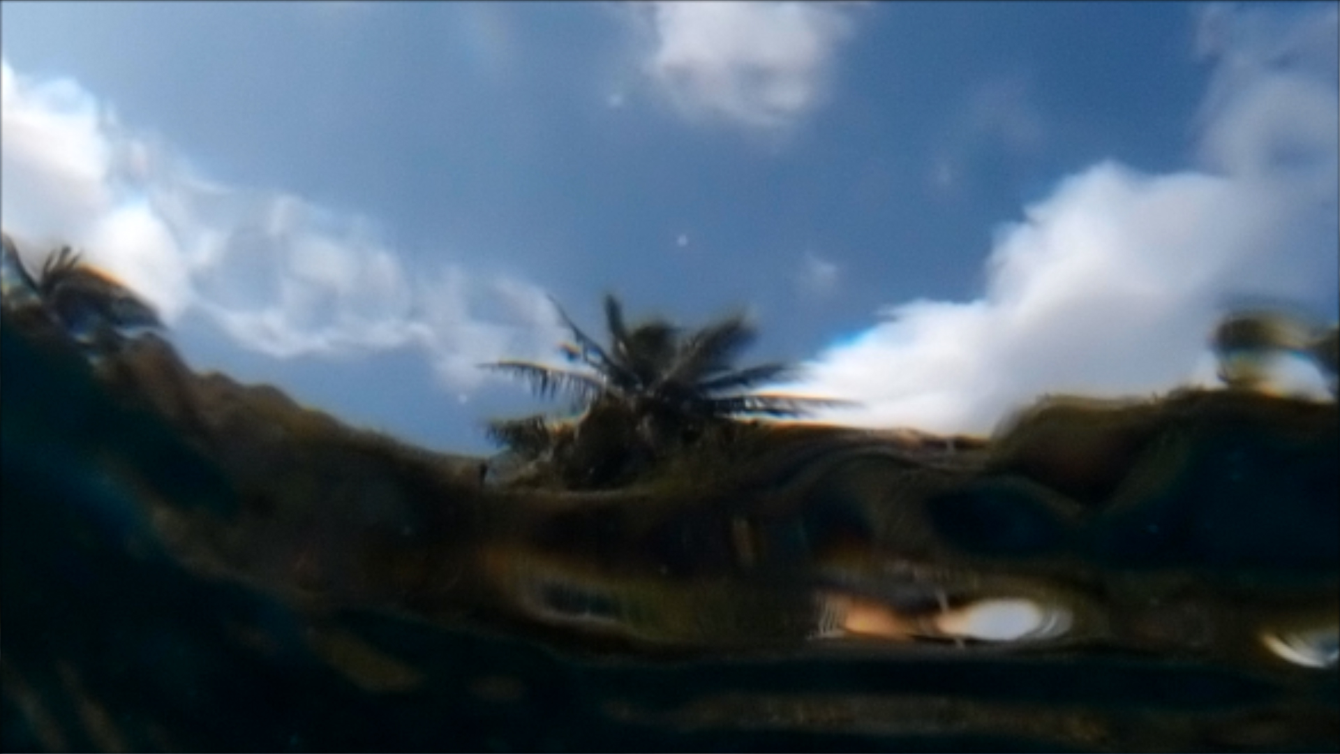 2022-04-14 Am Strand und im Wasser (Quallenvideo, Stills & Numbers) (Typo Grafik, Video)