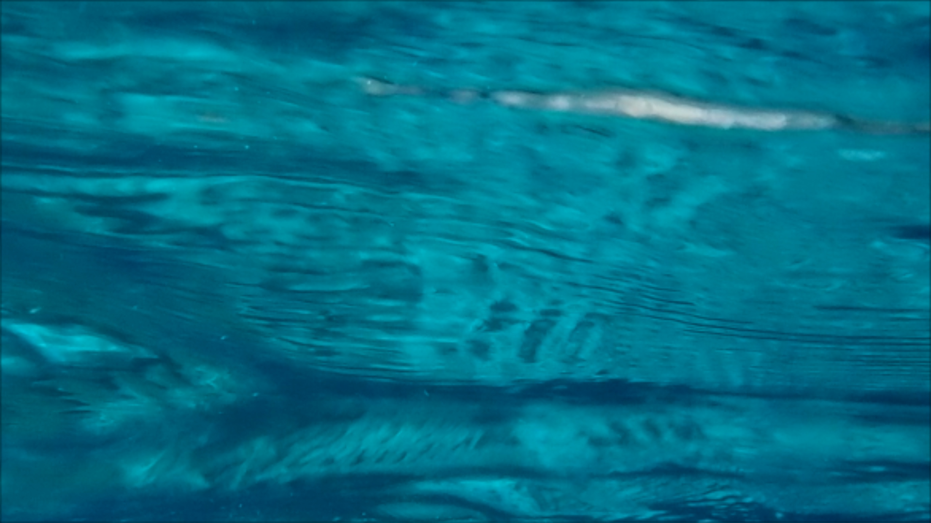 2022-04-14 Am Strand und im Wasser (Quallenvideo, Stills & Numbers) (Typo Grafik, Video)