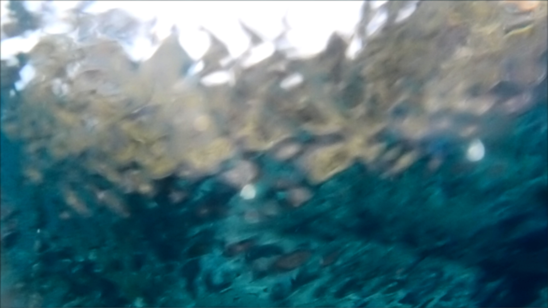 2022-04-14 Am Strand und im Wasser (Quallenvideo, Stills & Numbers) (Typo Grafik, Video)