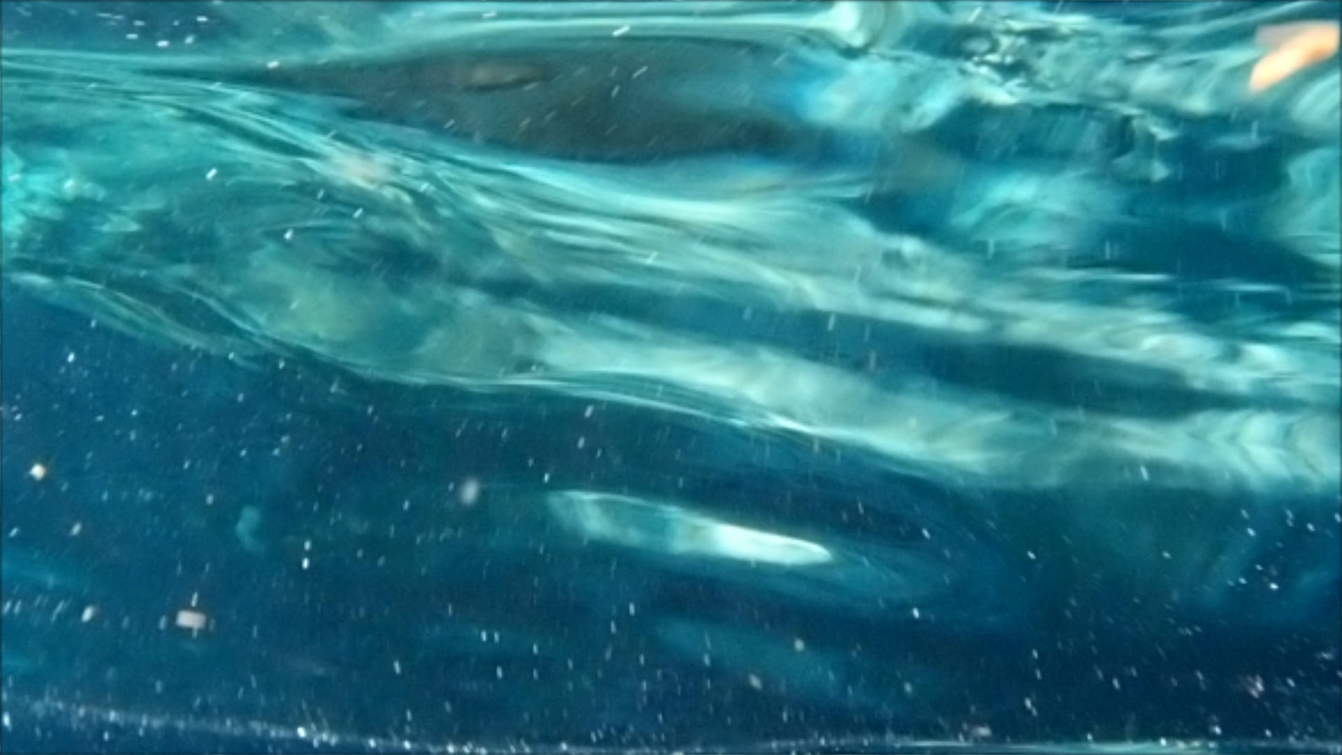 2022-04-14 Am Strand und im Wasser (Quallenvideo, Stills & Numbers) (Typo Grafik, Video)