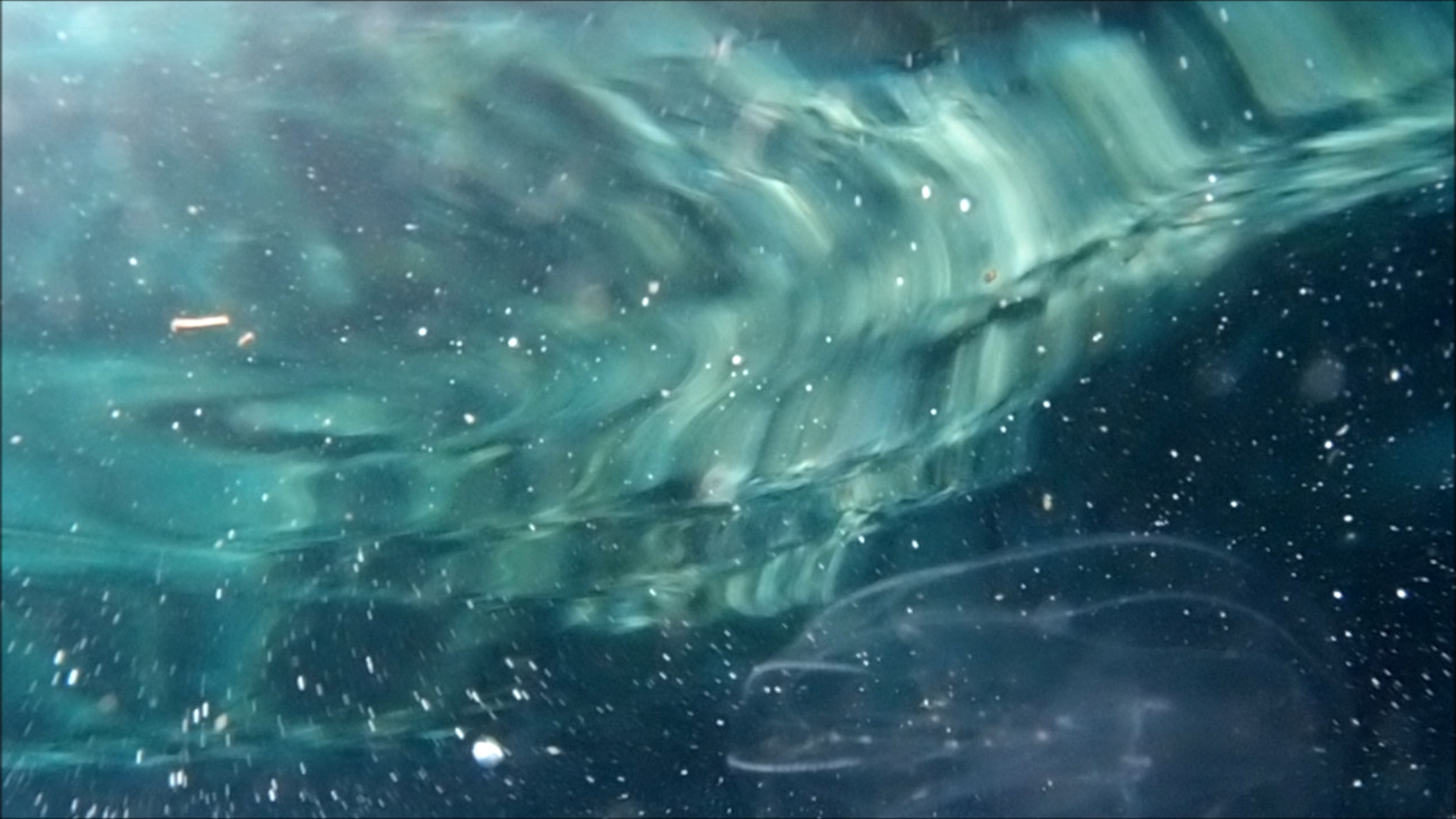 2022-04-14 Am Strand und im Wasser (Quallenvideo, Stills & Numbers) (Typo Grafik, Video)