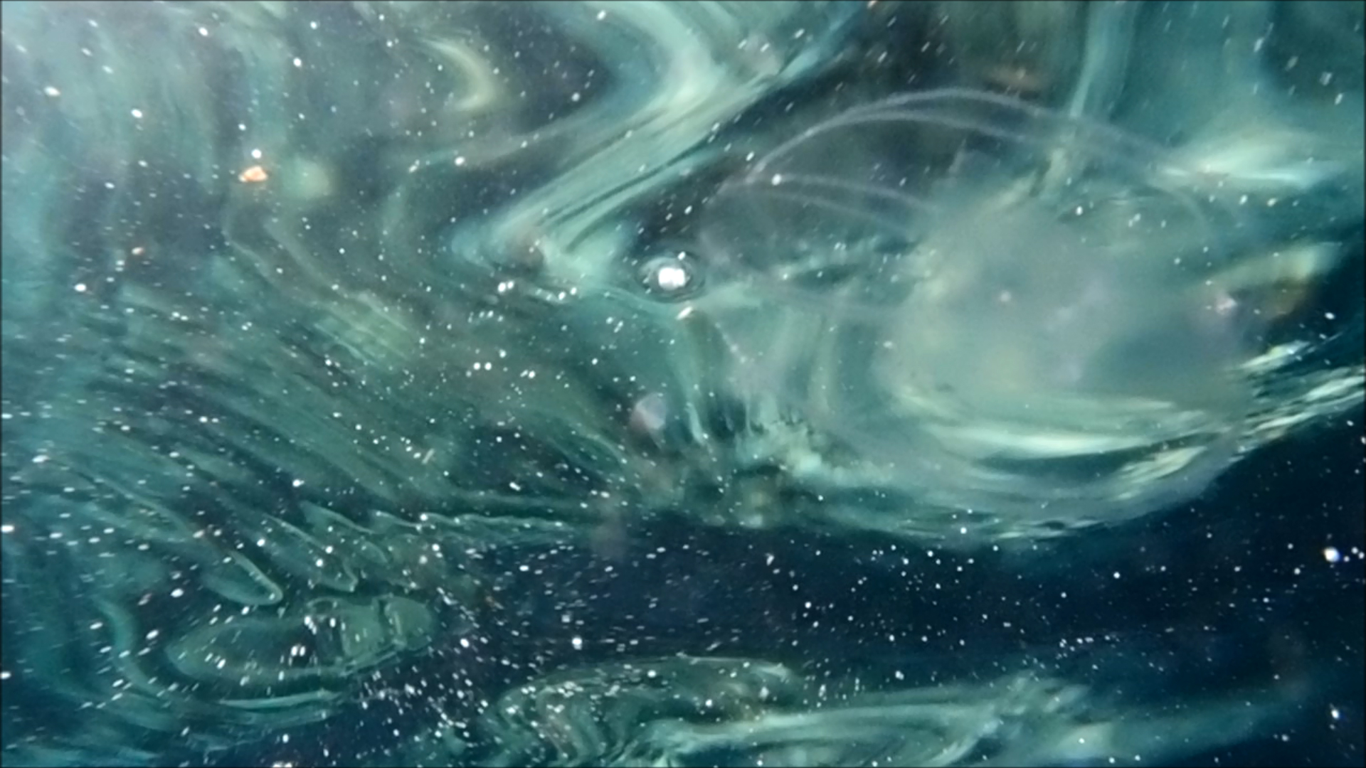 2022-04-14 Am Strand und im Wasser (Quallenvideo, Stills & Numbers) (Typo Grafik, Video)