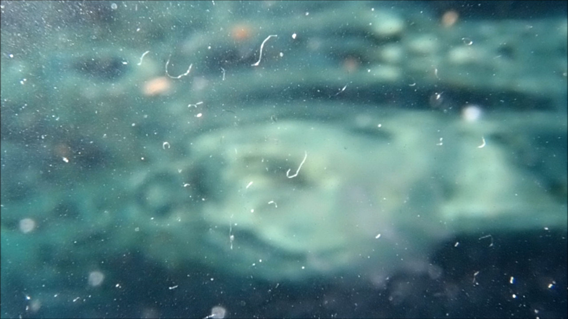 2022-04-14 Am Strand und im Wasser (Quallenvideo, Stills & Numbers) (Typo Grafik, Video)