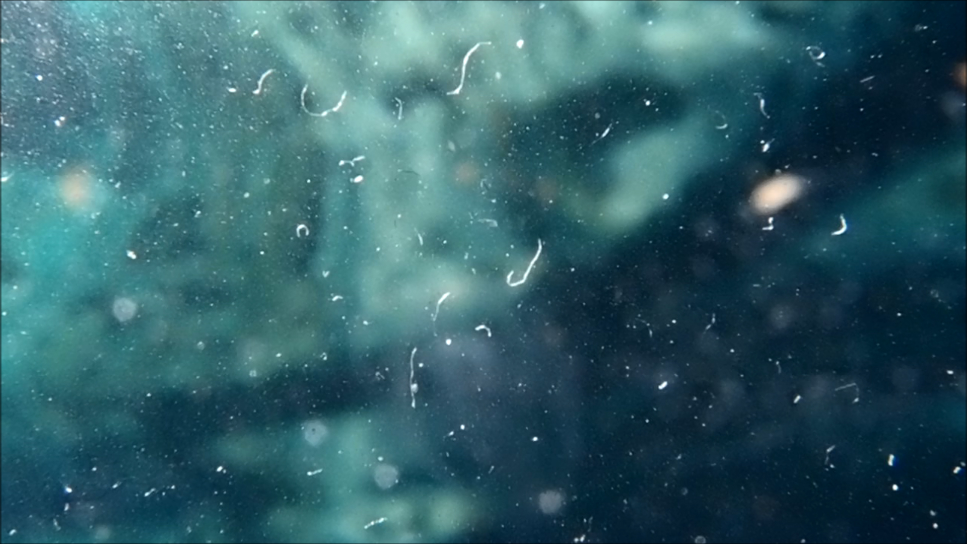 2022-04-14 Am Strand und im Wasser (Quallenvideo, Stills & Numbers) (Typo Grafik, Video)