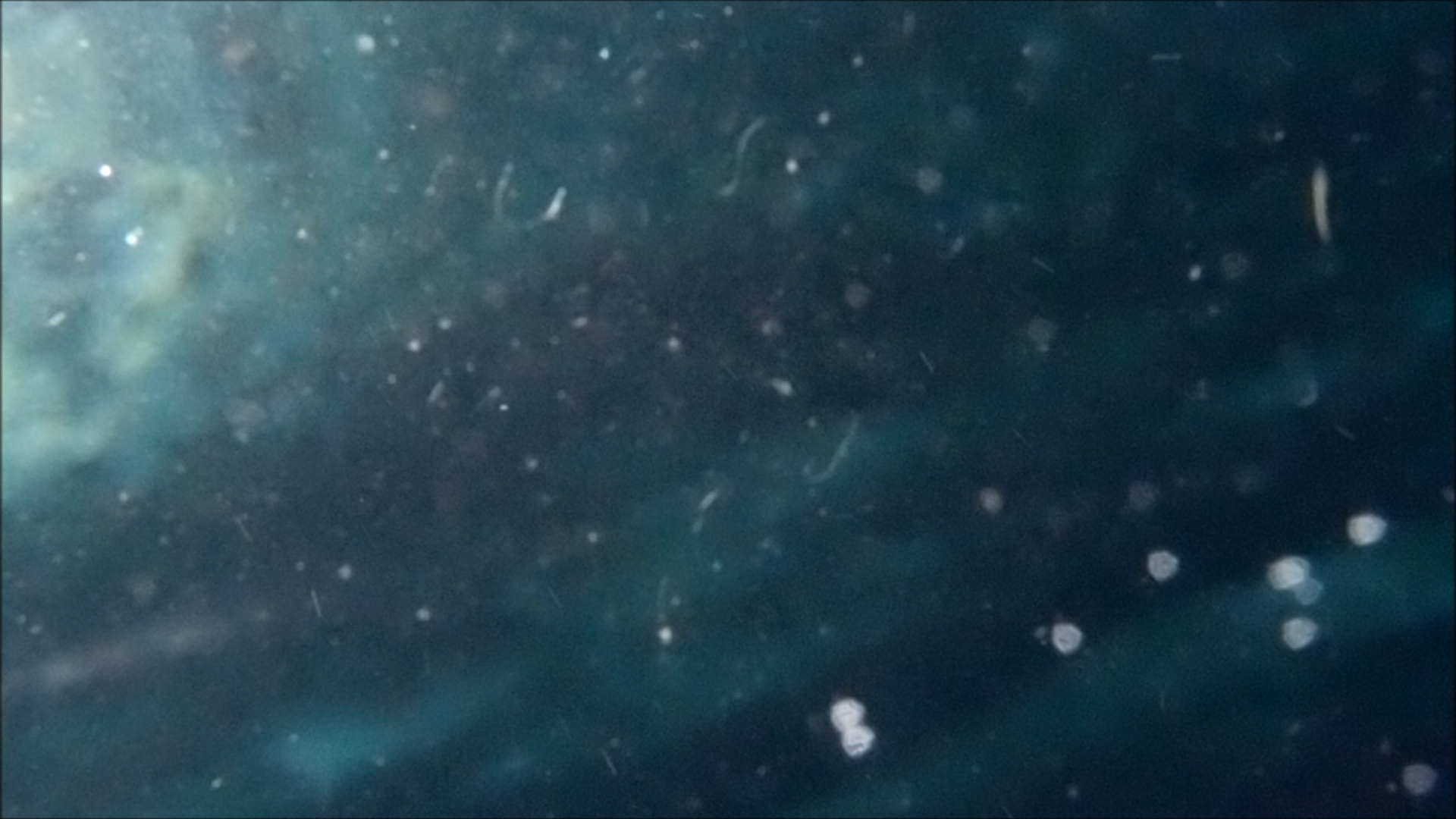 2022-04-14 Am Strand und im Wasser (Quallenvideo, Stills & Numbers) (Typo Grafik, Video)