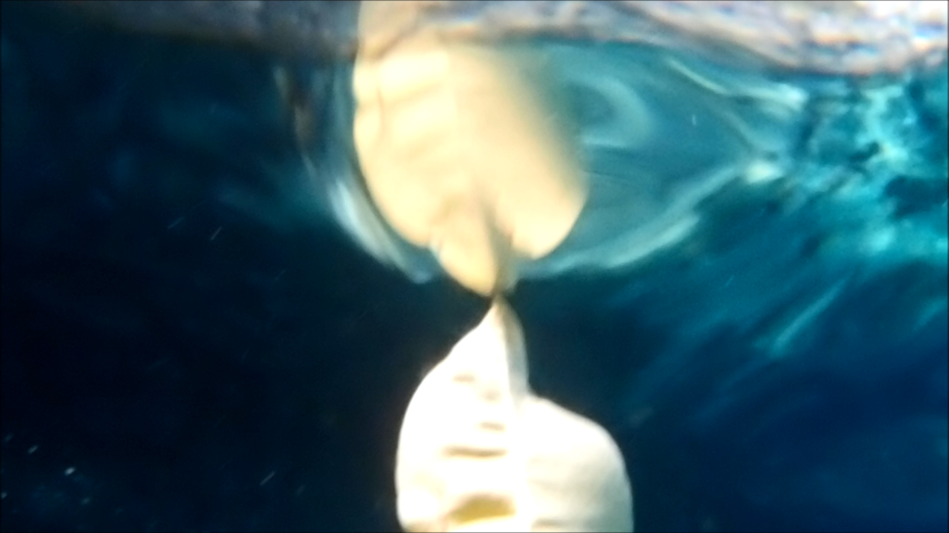 2022-04-14 Am Strand und im Wasser (Quallenvideo, Stills & Numbers) (Typo Grafik, Video)