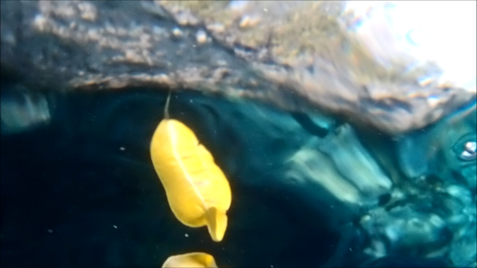 2022-04-14 Am Strand und im Wasser (Quallenvideo, Stills & Numbers) (Typo Grafik, Video)