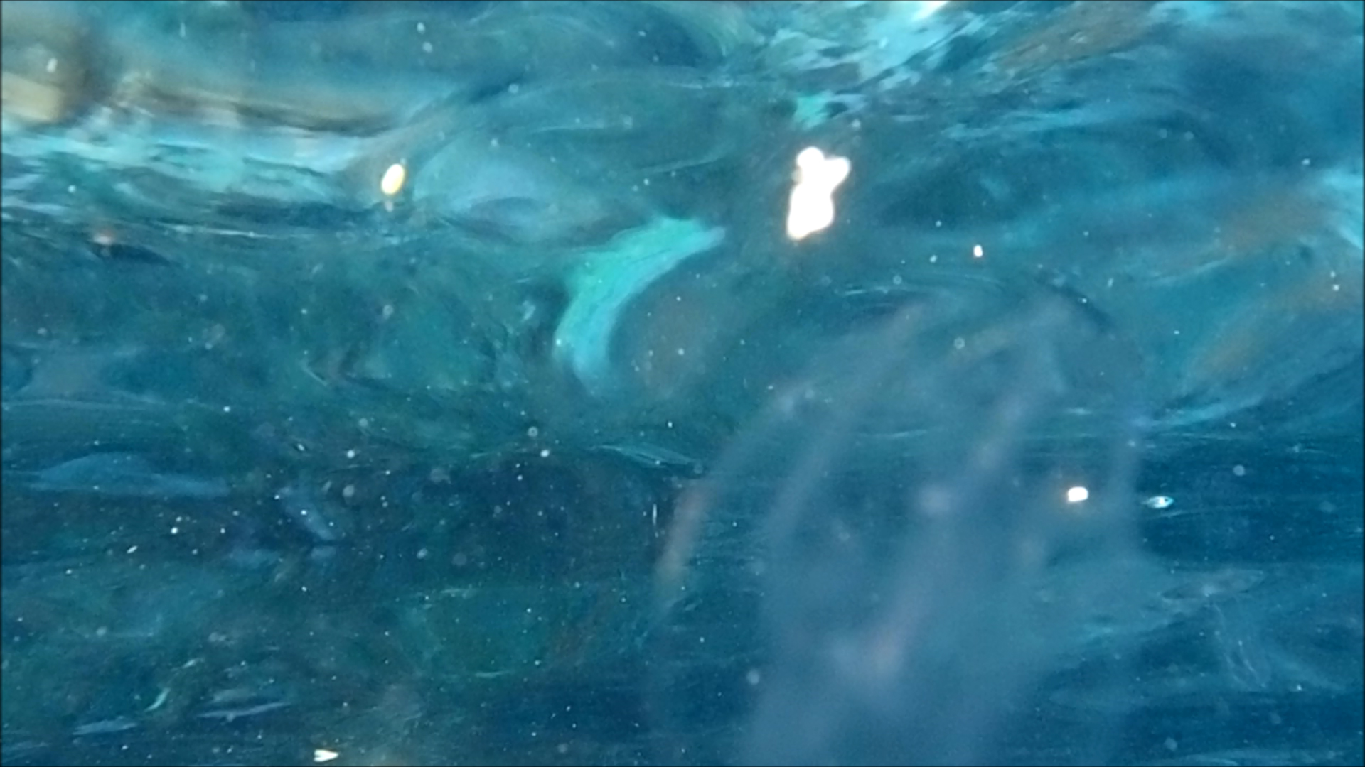 2022-04-14 Am Strand und im Wasser (Quallenvideo, Stills & Numbers) (Typo Grafik, Video)