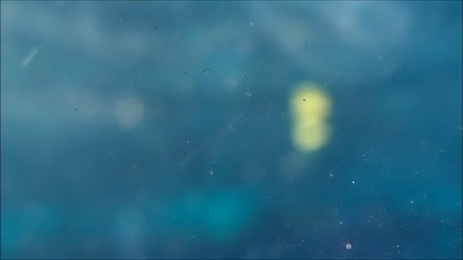 2022-04-14 Am Strand und im Wasser (Quallenvideo, Stills & Numbers) (Typo Grafik, Video)