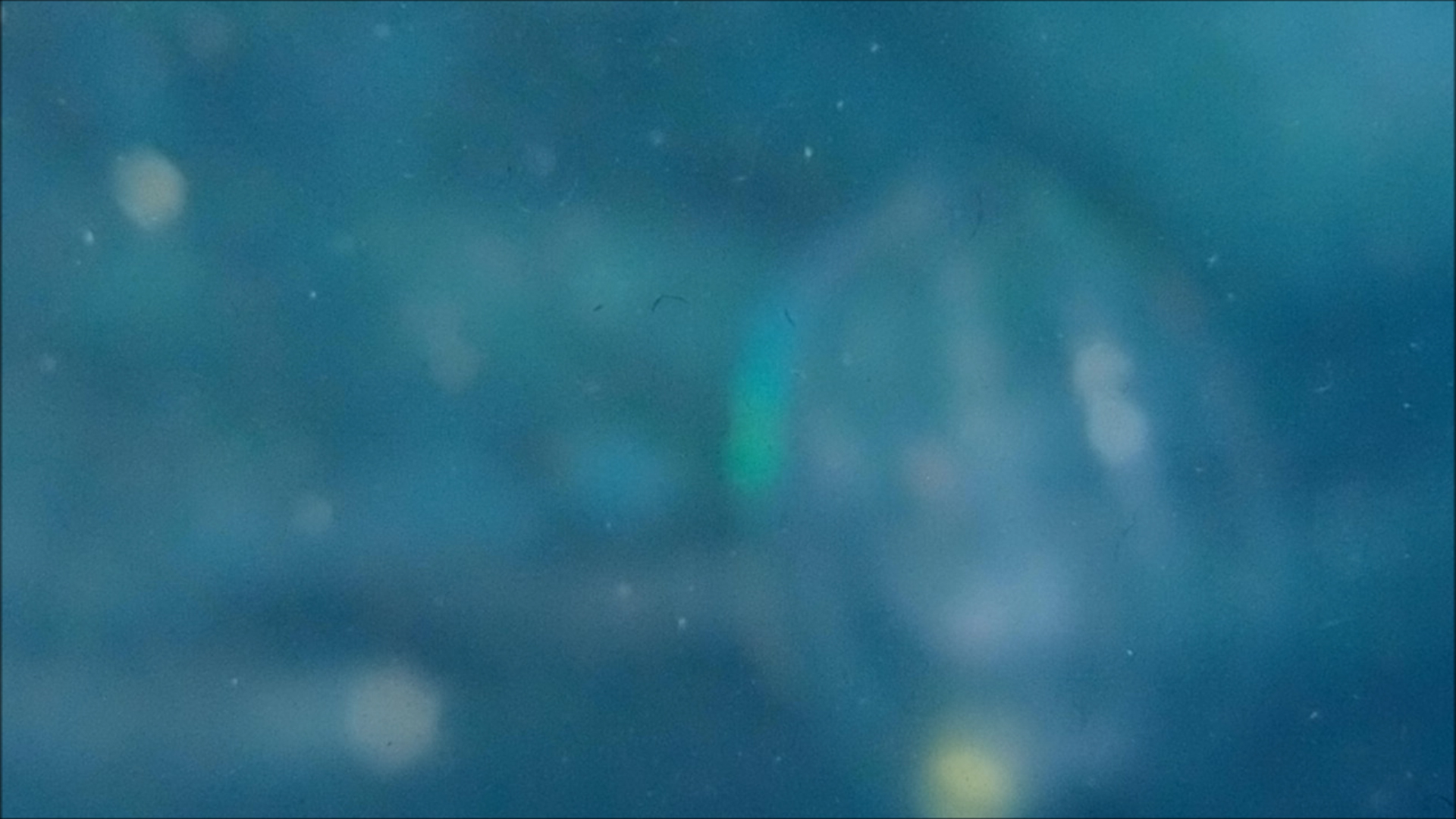 2022-04-14 Am Strand und im Wasser (Quallenvideo, Stills & Numbers) (Typo Grafik, Video)