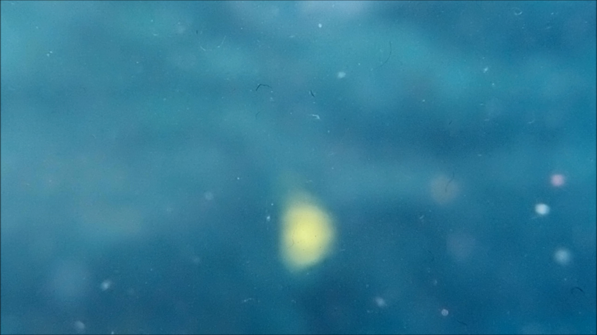 2022-04-14 Am Strand und im Wasser (Quallenvideo, Stills & Numbers) (Typo Grafik, Video)