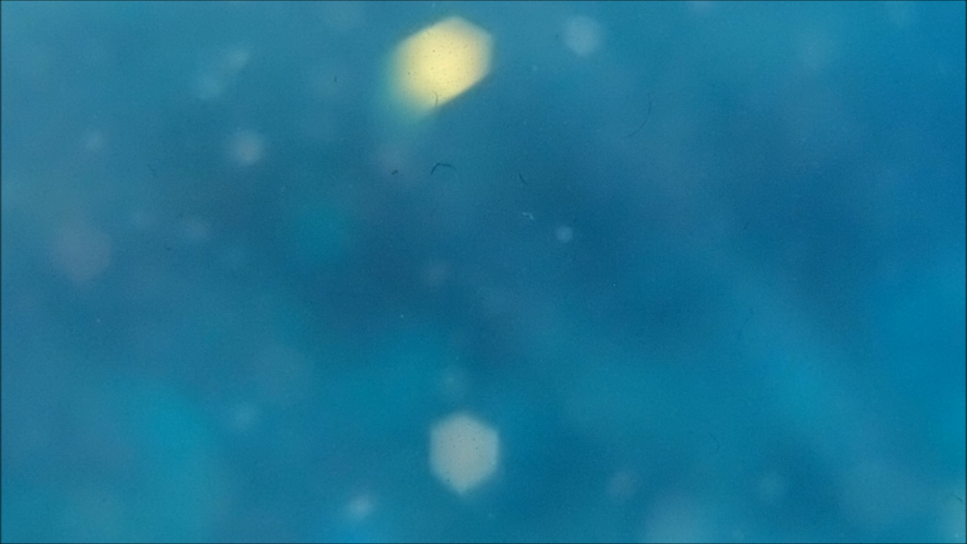 2022-04-14 Am Strand und im Wasser (Quallenvideo, Stills & Numbers) (Typo Grafik, Video)