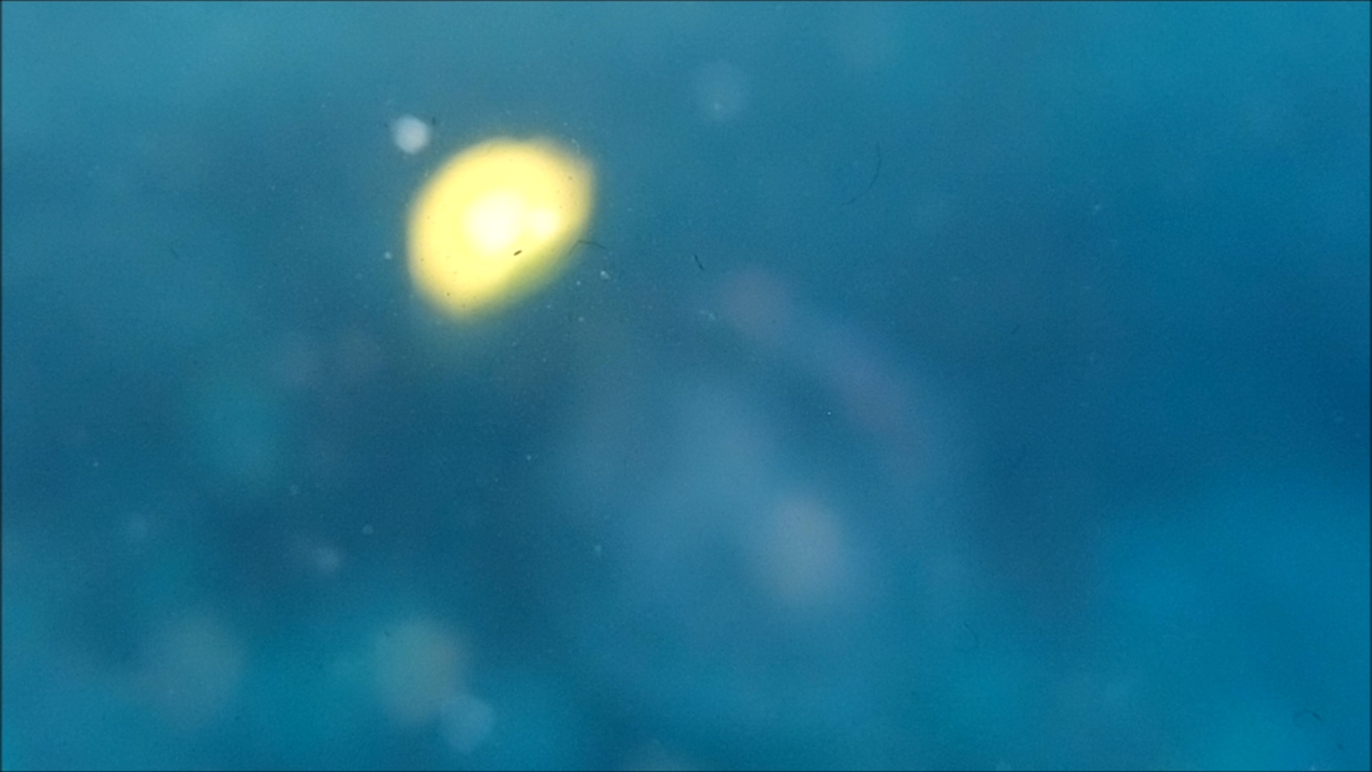 2022-04-14 Am Strand und im Wasser (Quallenvideo, Stills & Numbers) (Typo Grafik, Video)