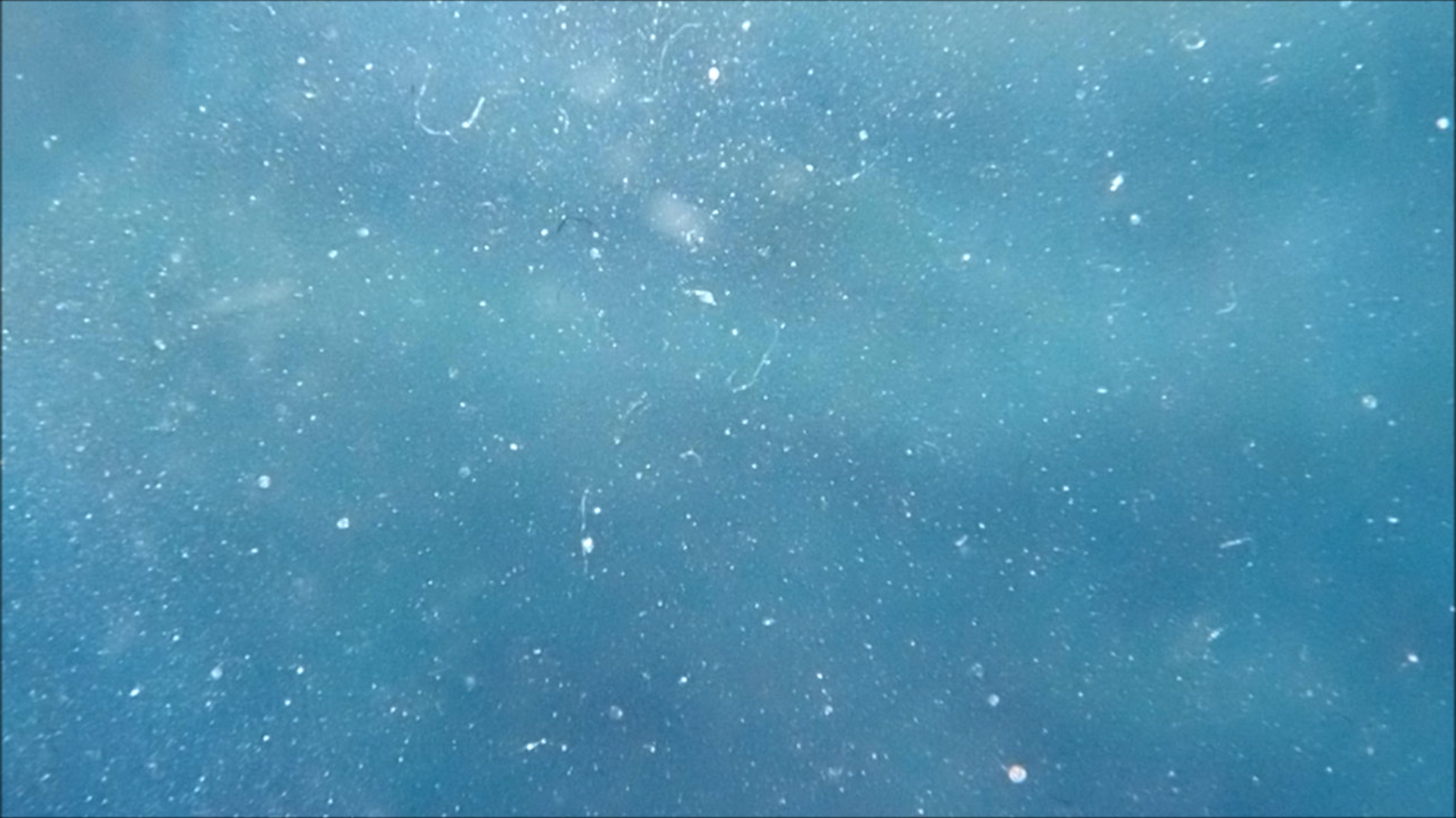 2022-04-14 Am Strand und im Wasser (Quallenvideo, Stills & Numbers) (Typo Grafik, Video)