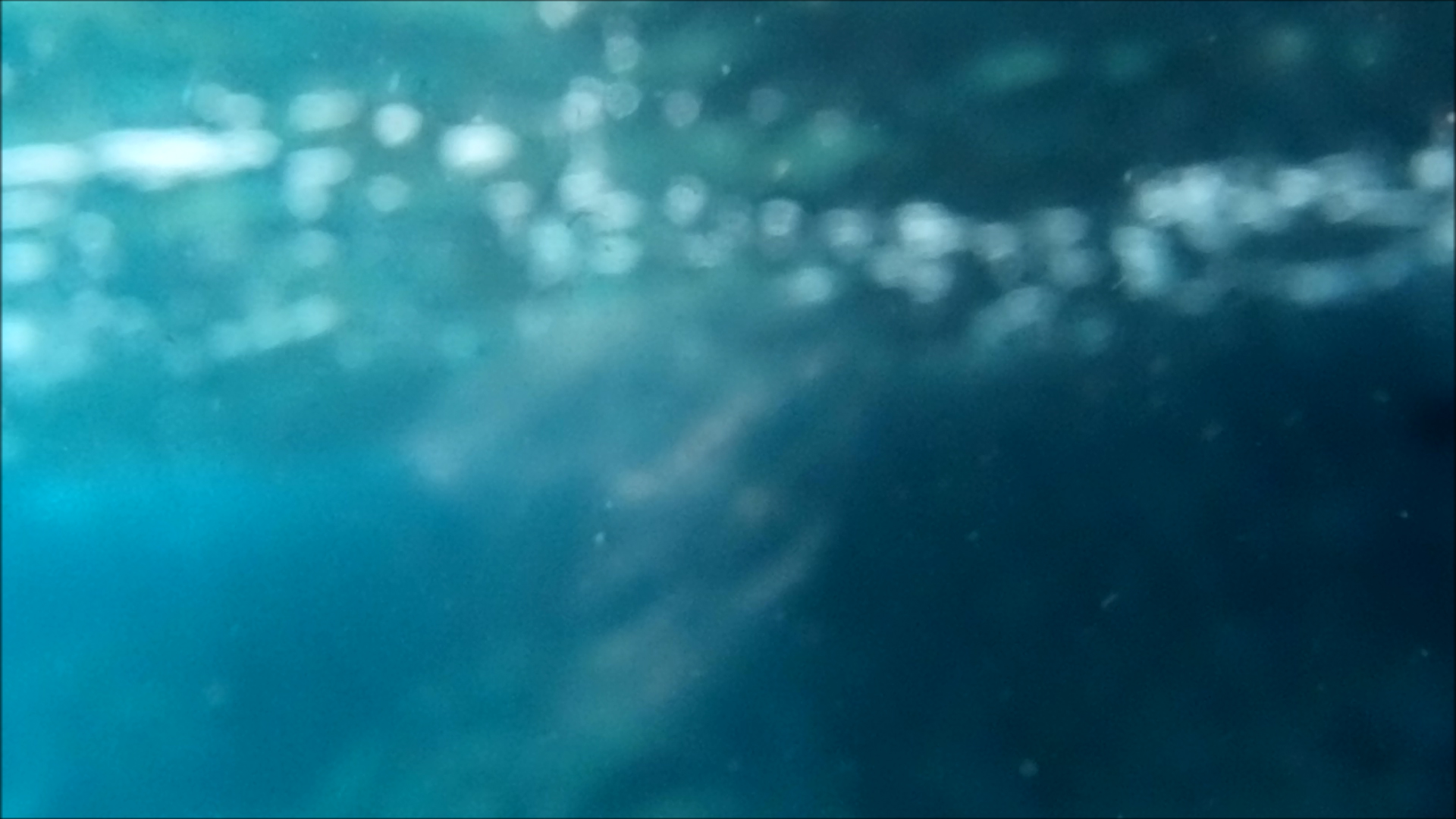 2022-04-14 Am Strand und im Wasser (Quallenvideo, Stills & Numbers) (Typo Grafik, Video)