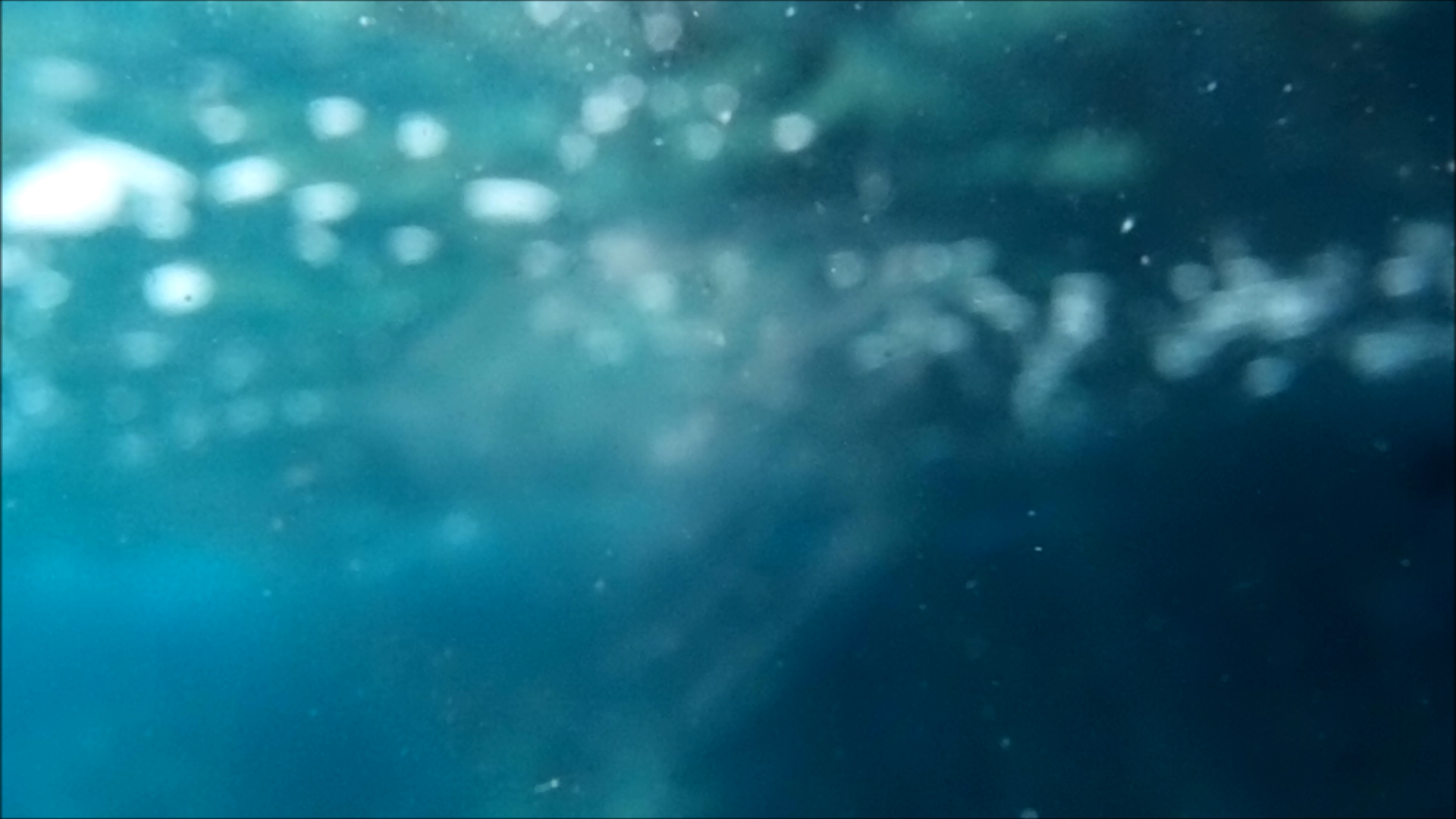 2022-04-14 Am Strand und im Wasser (Quallenvideo, Stills & Numbers) (Typo Grafik, Video)