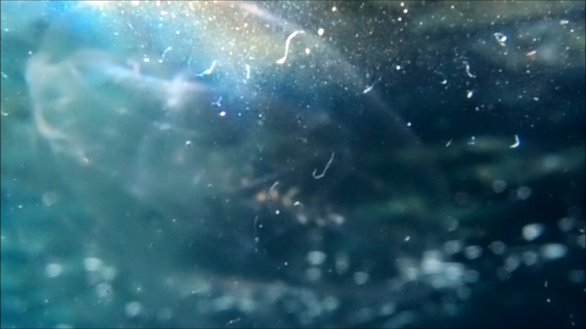 2022-04-14 Am Strand und im Wasser (Quallenvideo, Stills & Numbers) (Typo Grafik, Video)