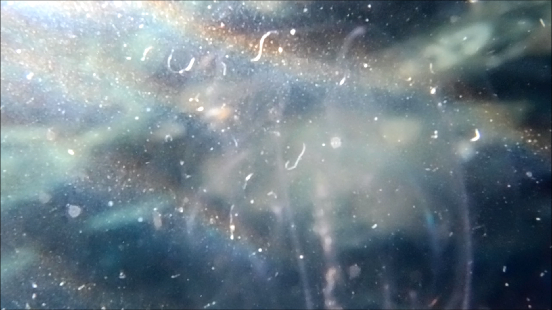 2022-04-14 Am Strand und im Wasser (Quallenvideo, Stills & Numbers) (Typo Grafik, Video)