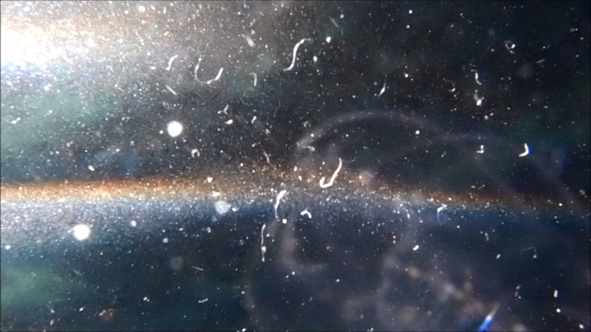 2022-04-14 Am Strand und im Wasser (Quallenvideo, Stills & Numbers) (Typo Grafik, Video)