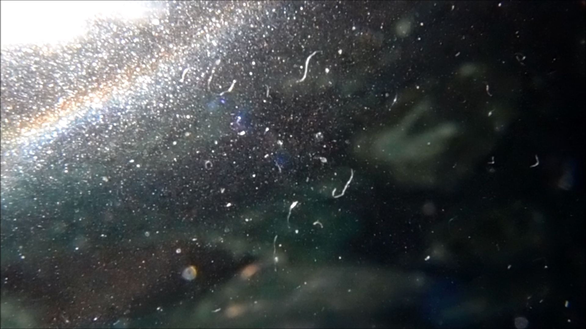 2022-04-14 Am Strand und im Wasser (Quallenvideo, Stills & Numbers) (Typo Grafik, Video)