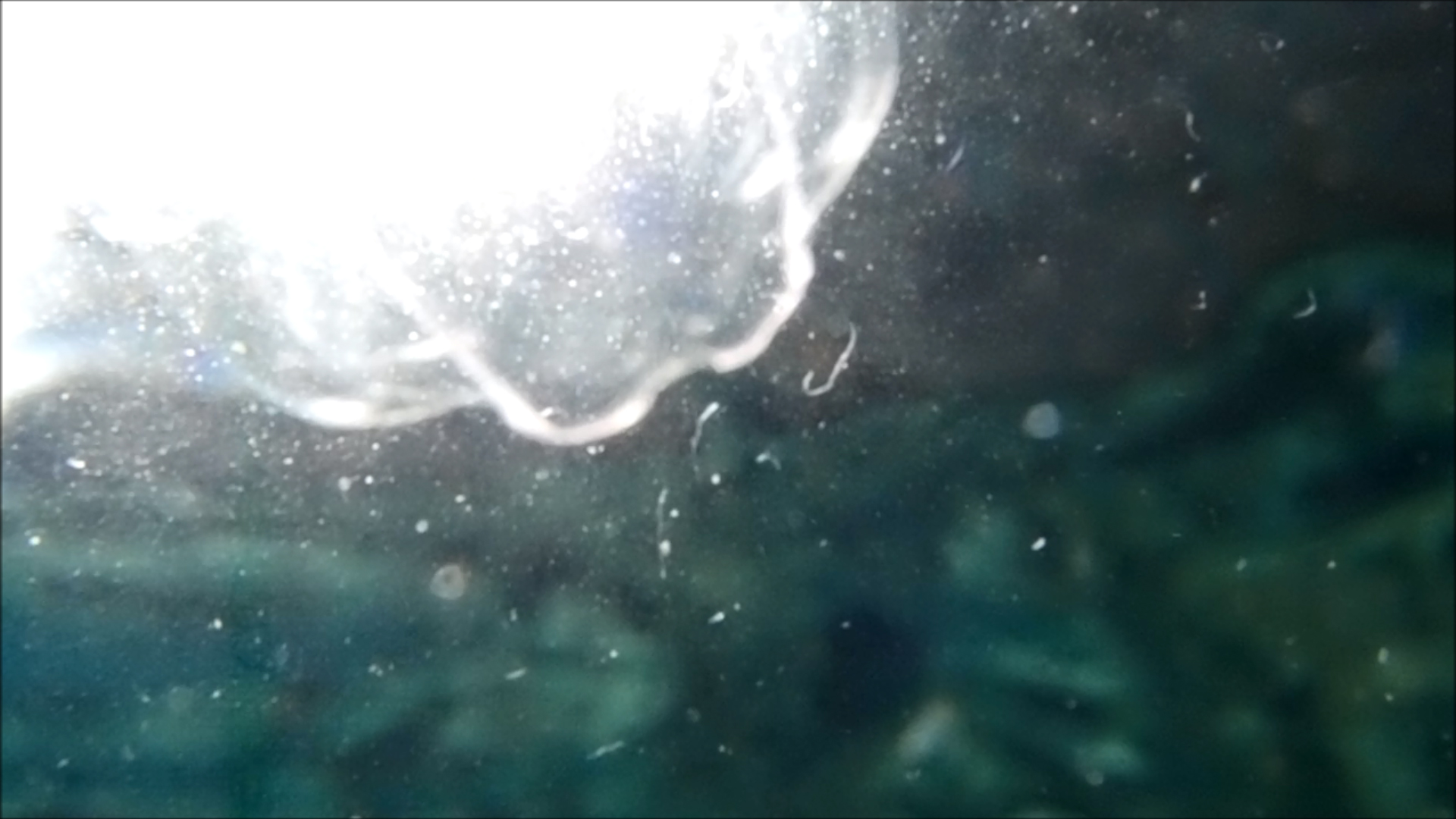 2022-04-14 Am Strand und im Wasser (Quallenvideo, Stills & Numbers) (Typo Grafik, Video)