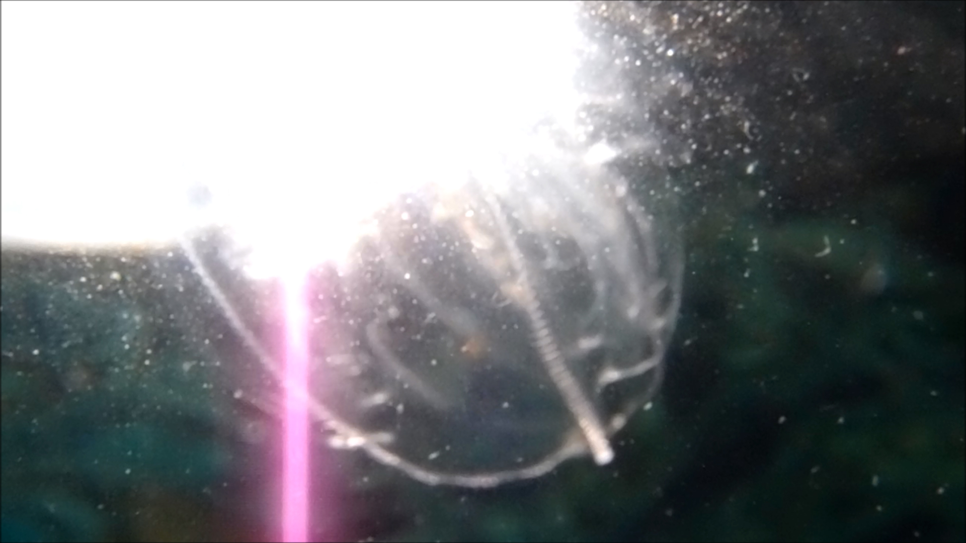 2022-04-14 Am Strand und im Wasser (Quallenvideo, Stills & Numbers) (Typo Grafik, Video)