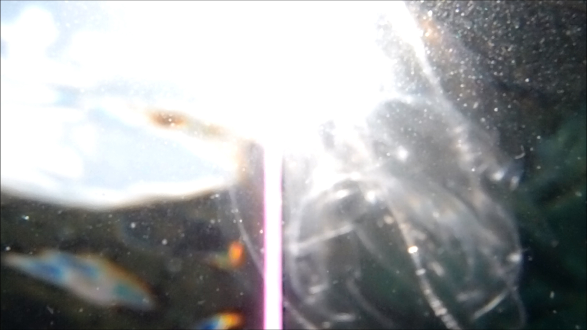 2022-04-14 Am Strand und im Wasser (Quallenvideo, Stills & Numbers) (Typo Grafik, Video)