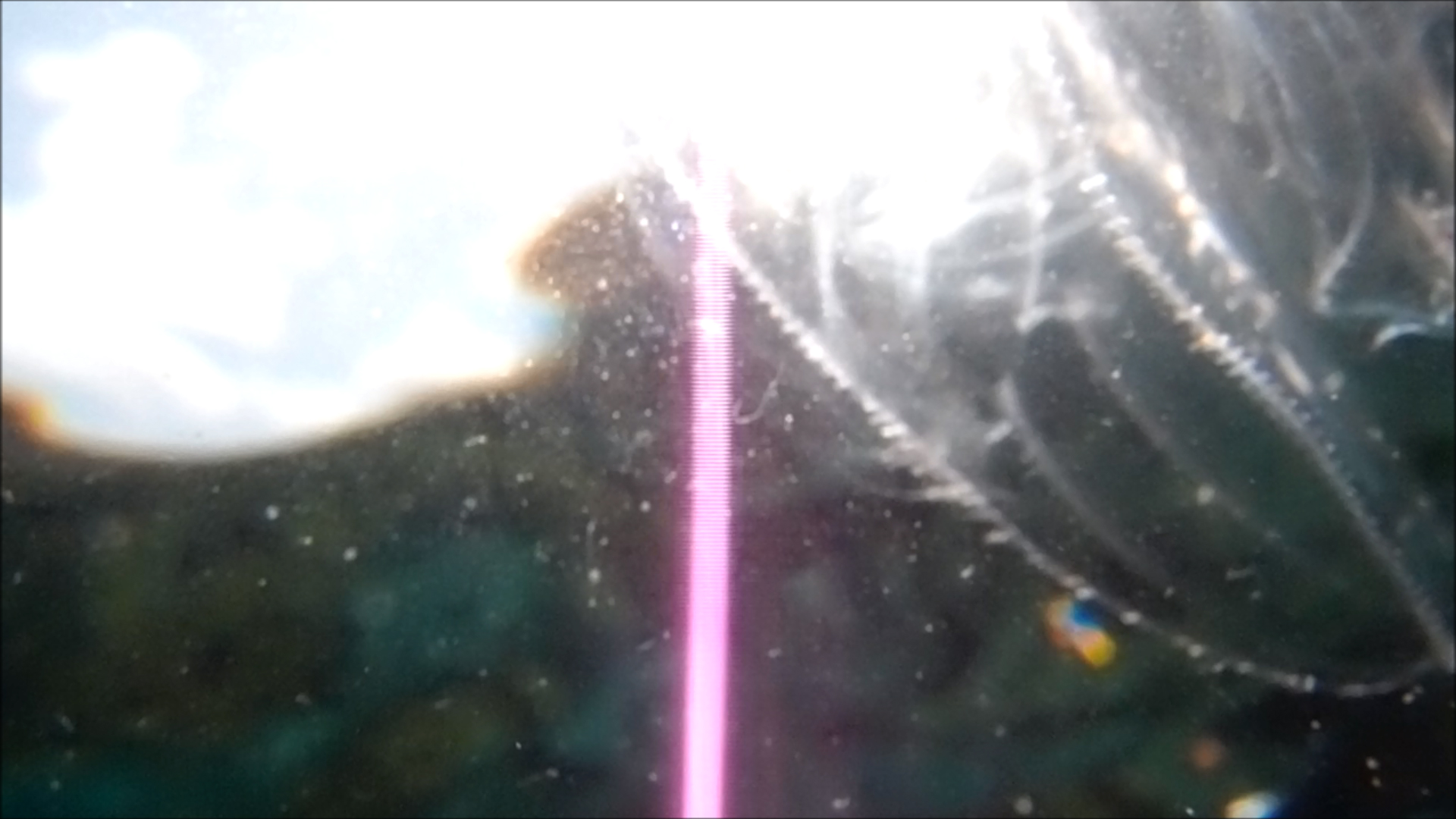 2022-04-14 Am Strand und im Wasser (Quallenvideo, Stills & Numbers) (Typo Grafik, Video)