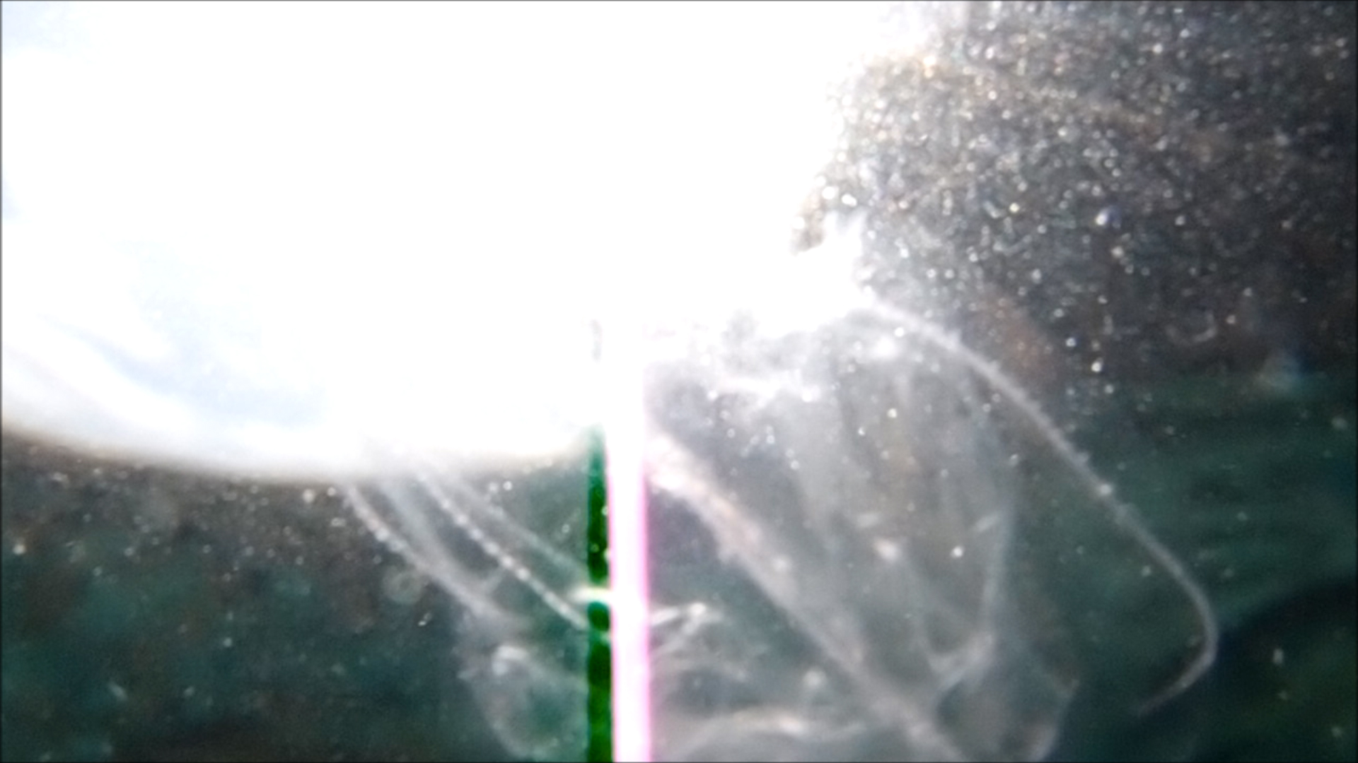 2022-04-14 Am Strand und im Wasser (Quallenvideo, Stills & Numbers) (Typo Grafik, Video)