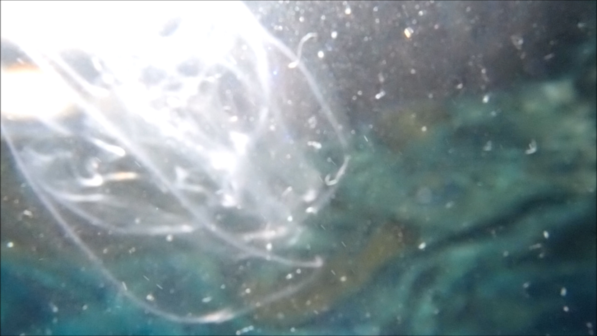 2022-04-14 Am Strand und im Wasser (Quallenvideo, Stills & Numbers) (Typo Grafik, Video)